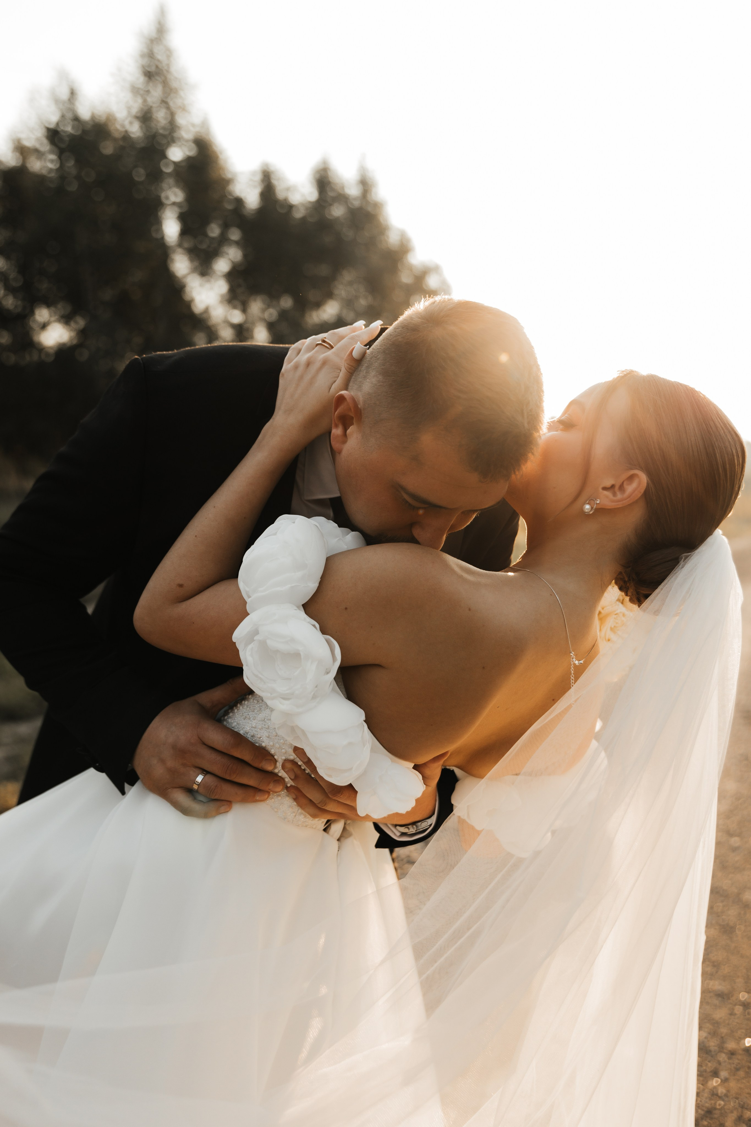 A & V. Главная