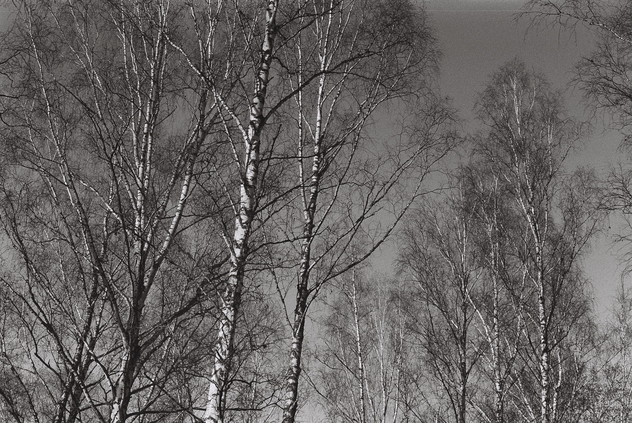 Алёна. Главная