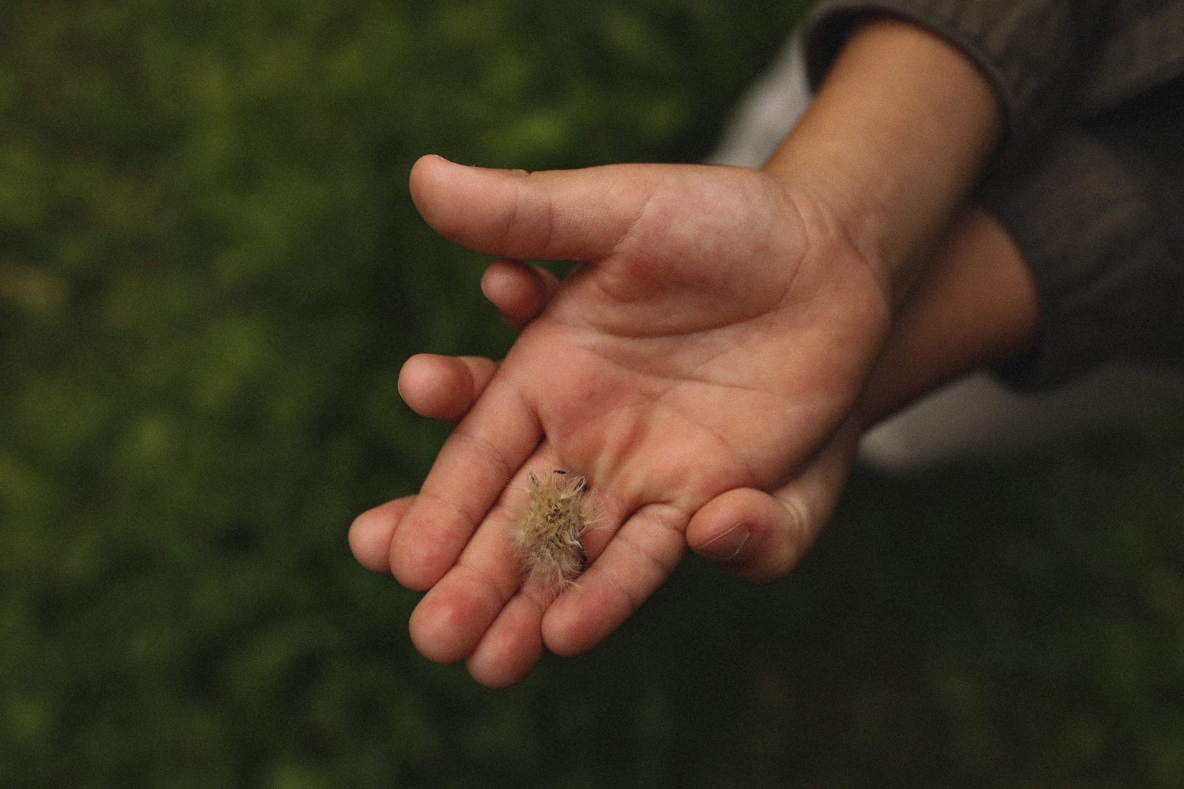 Кошки-Мышки. Семейный фотограф в Москве Алевтина Носова