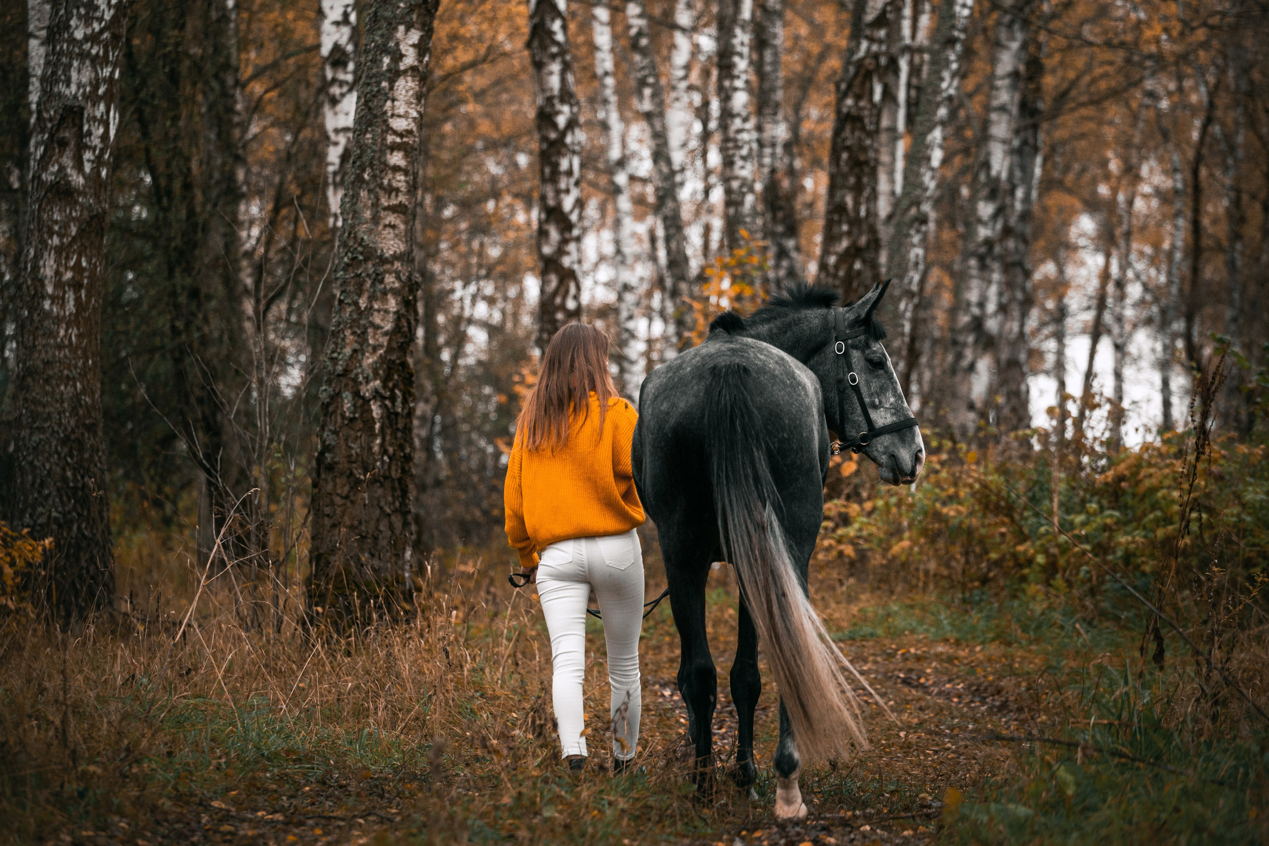 Аня и Джози. Фотограф-анималист Татьяна Степанова