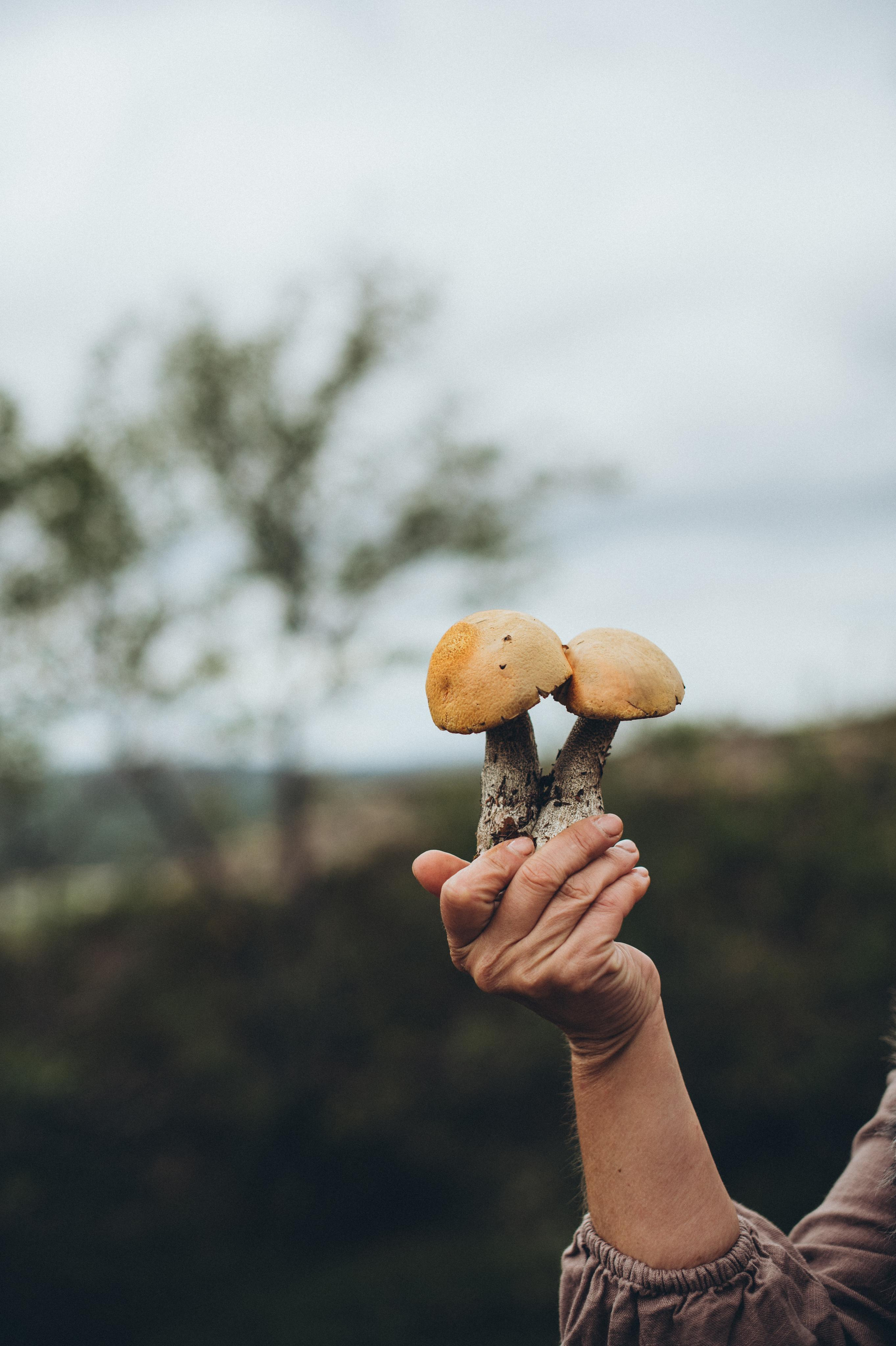 В поисках сейдов. Фотограф Наталья Могилевская Мурманск Териберка Сейдозеро Рыбачий