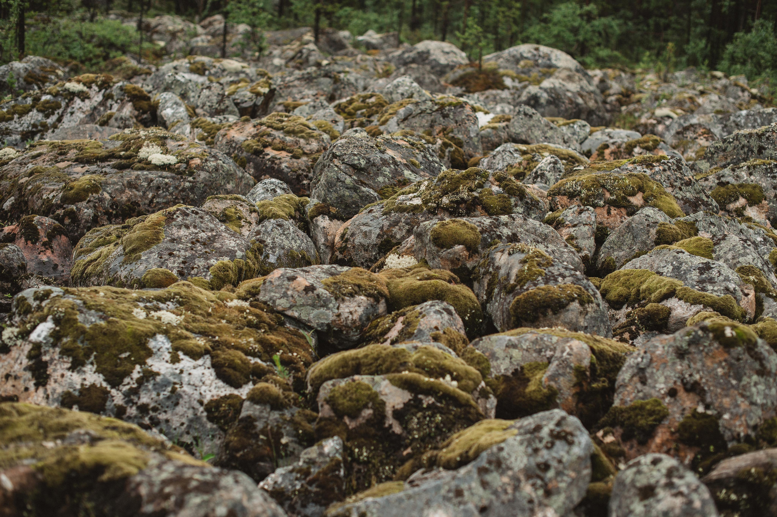 Прогулка по камням. Фотограф Наталья Могилевская Мурманск Териберка Сейдозеро Рыбачий