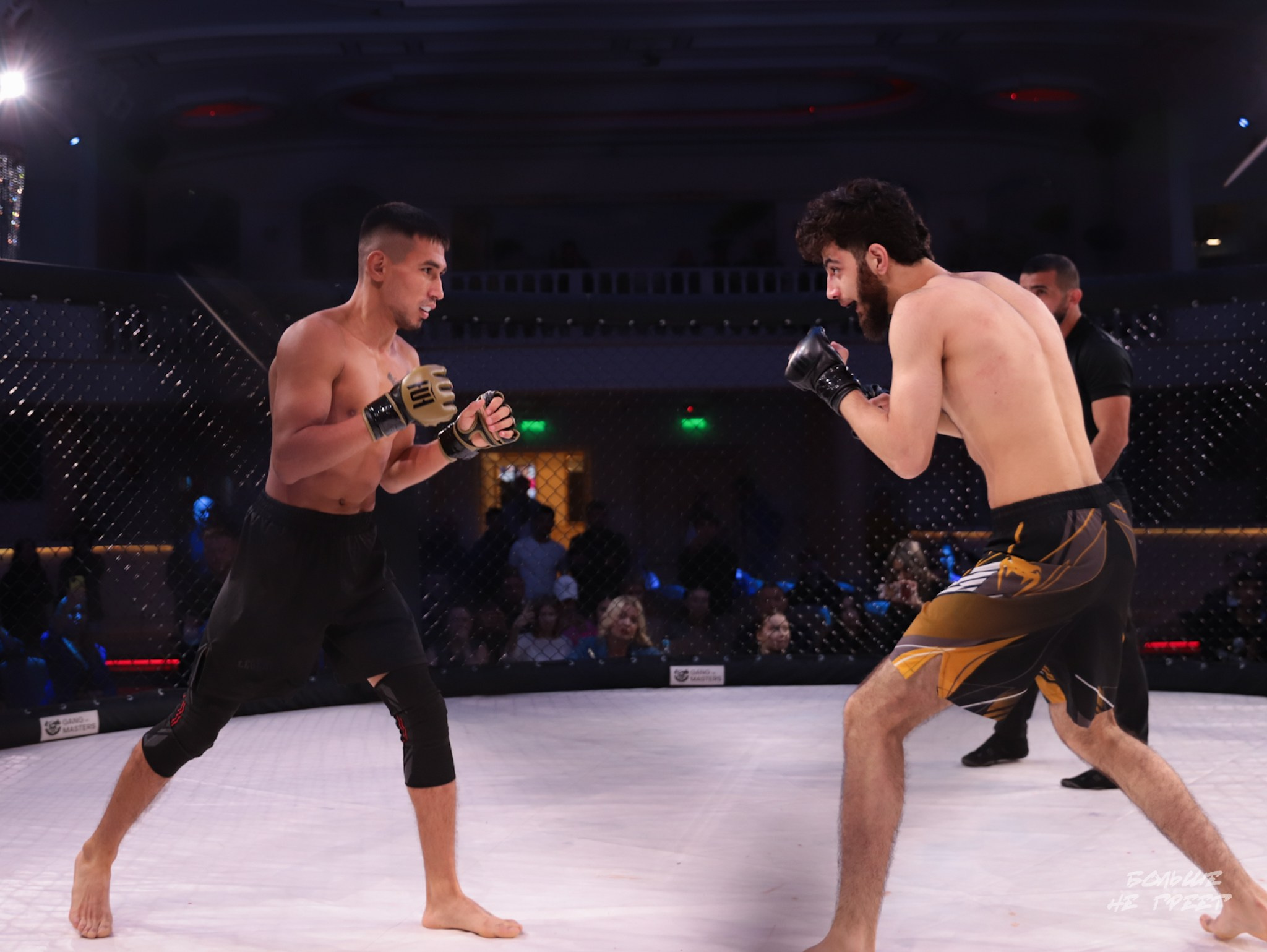 SABR FIGHTING. Больше не греет