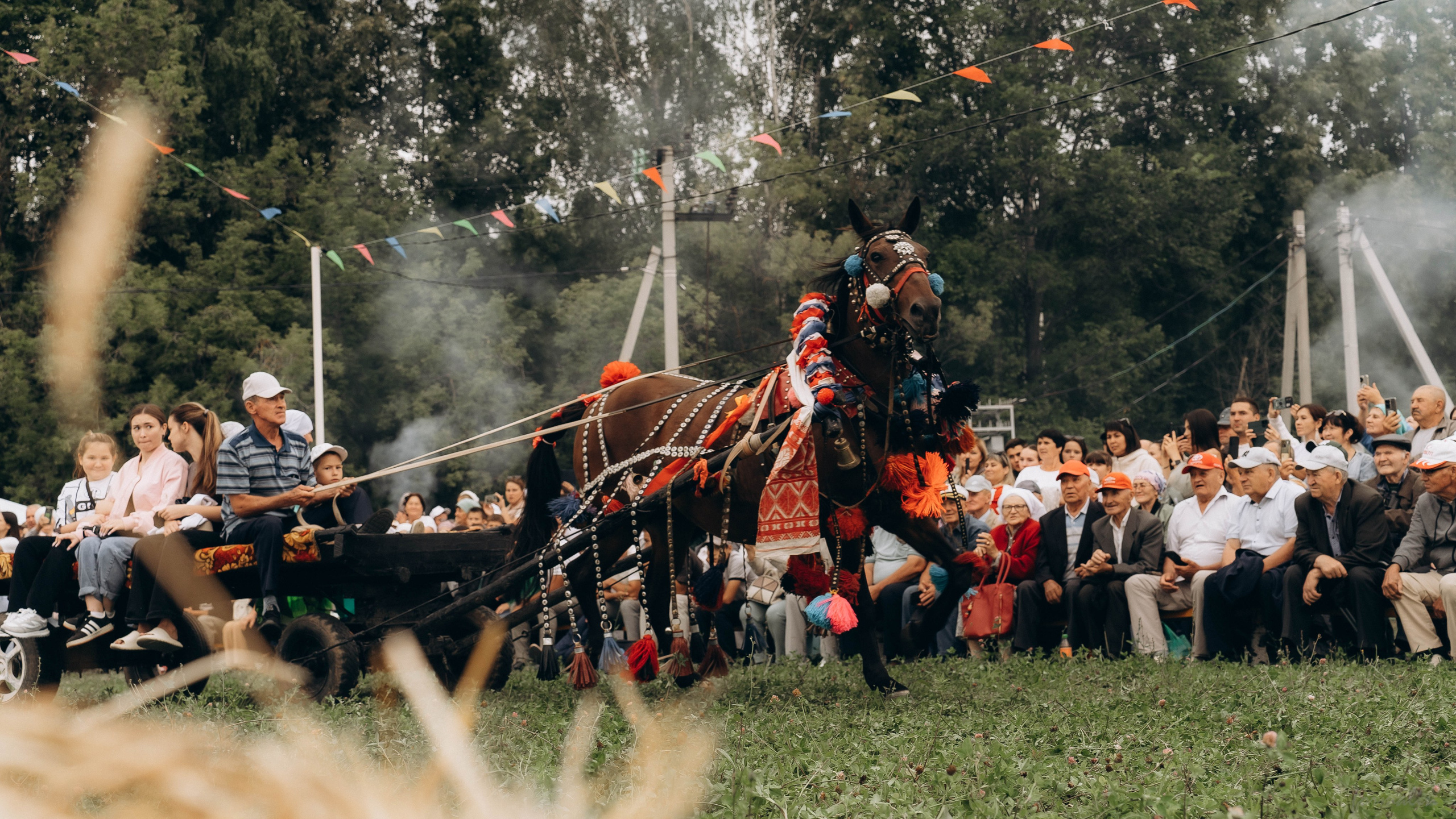 День Коня. Алиса Никитцова | Фотограф в Казани