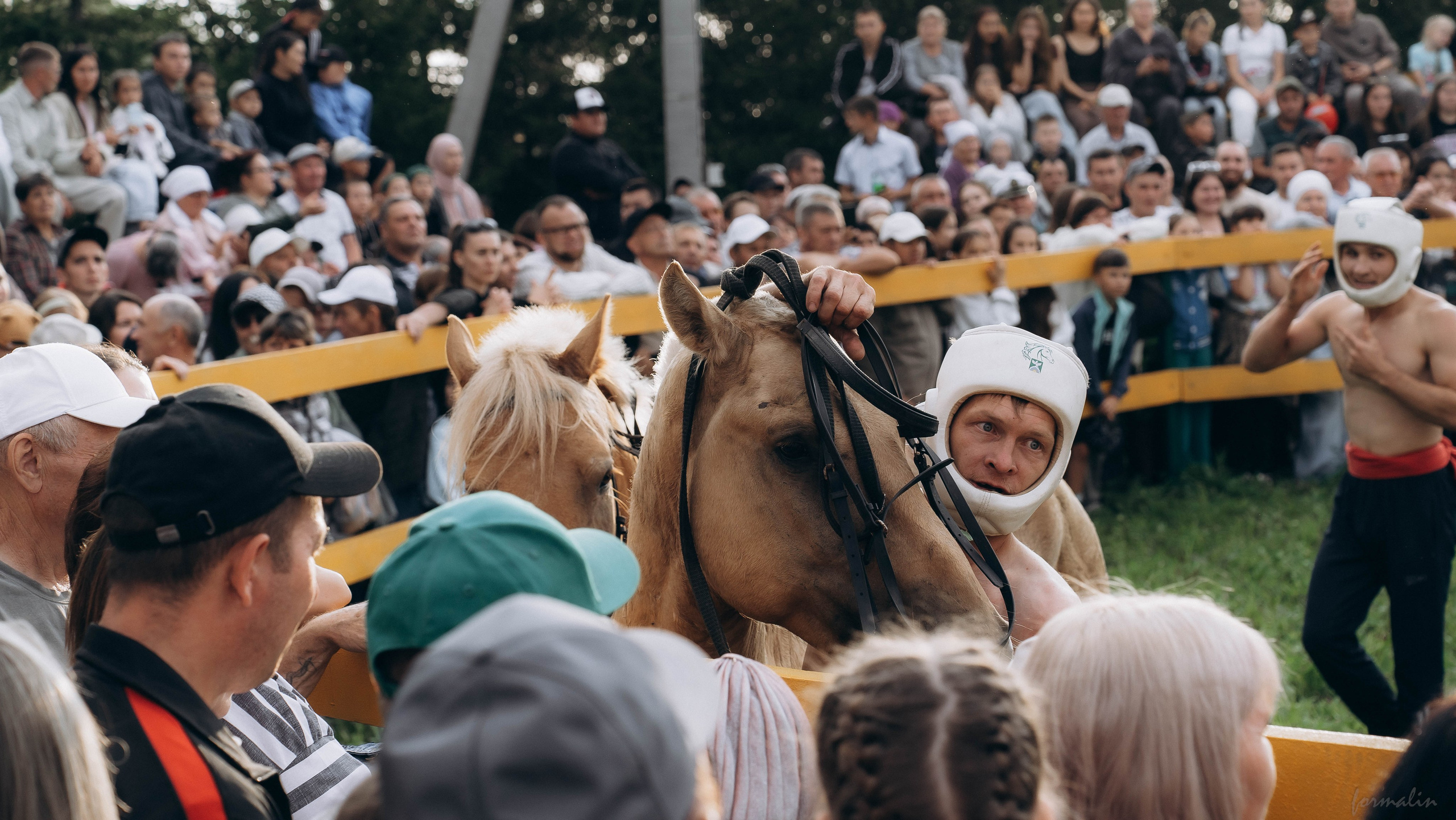 День Коня. Алиса Никитцова | Фотограф в Казани