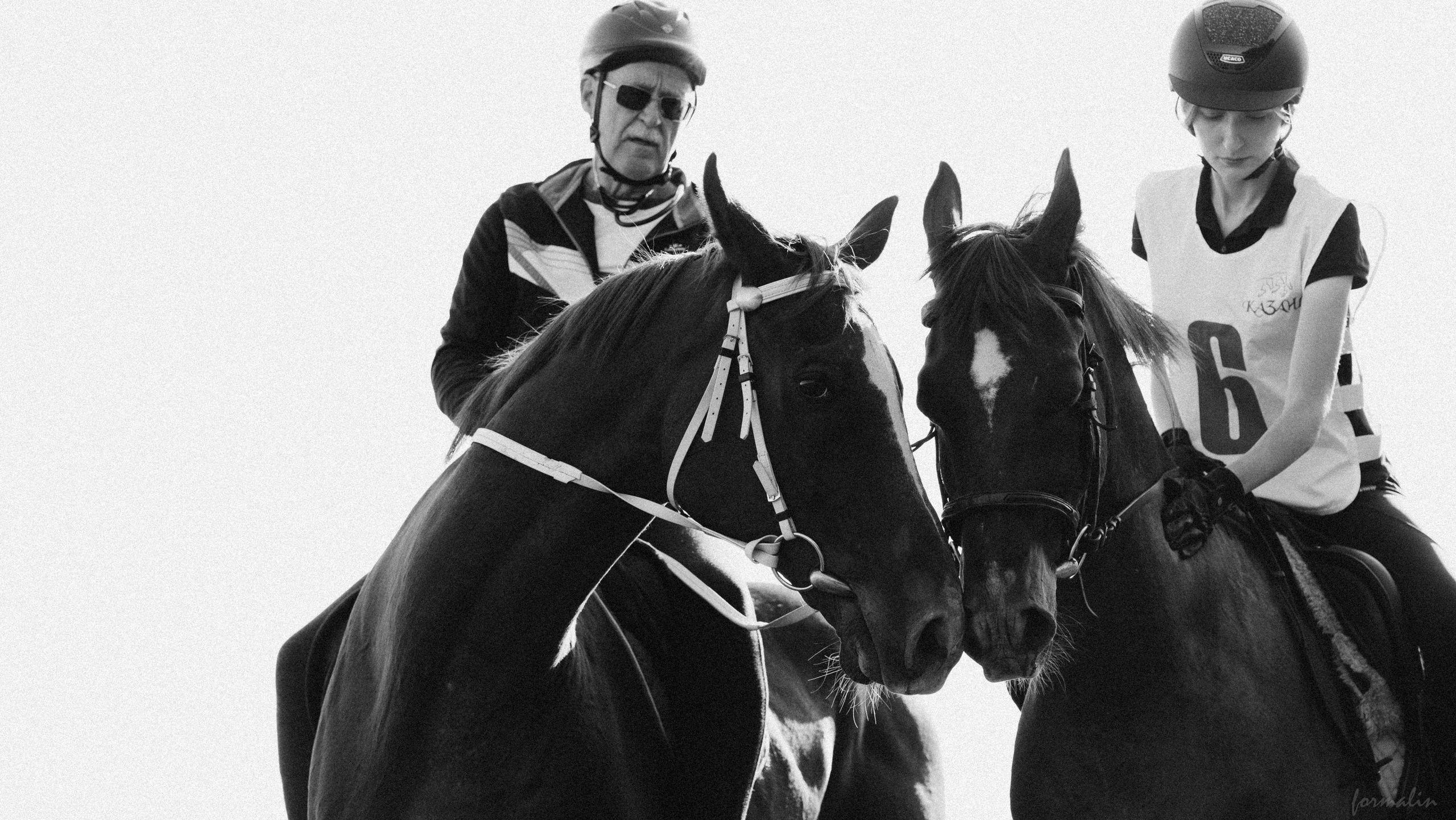 День Коня. Алиса Никитцова | Фотограф в Казани