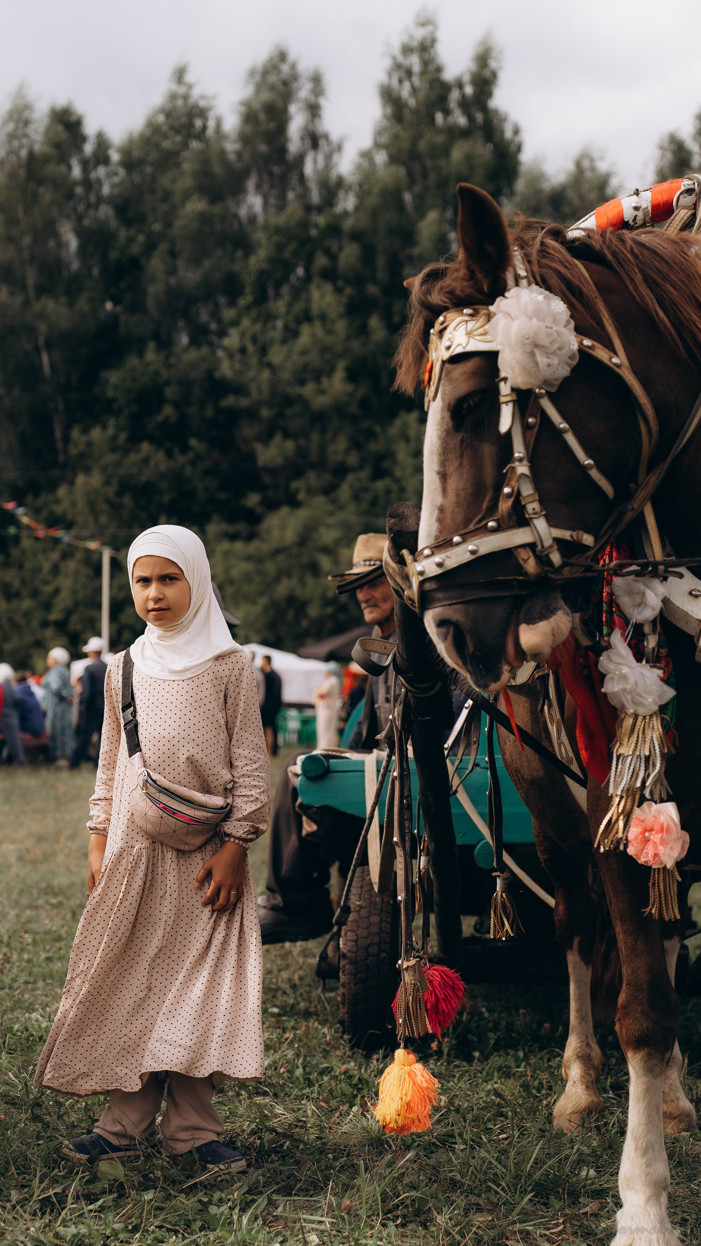 День Коня. Алиса Никитцова | Фотограф в Казани