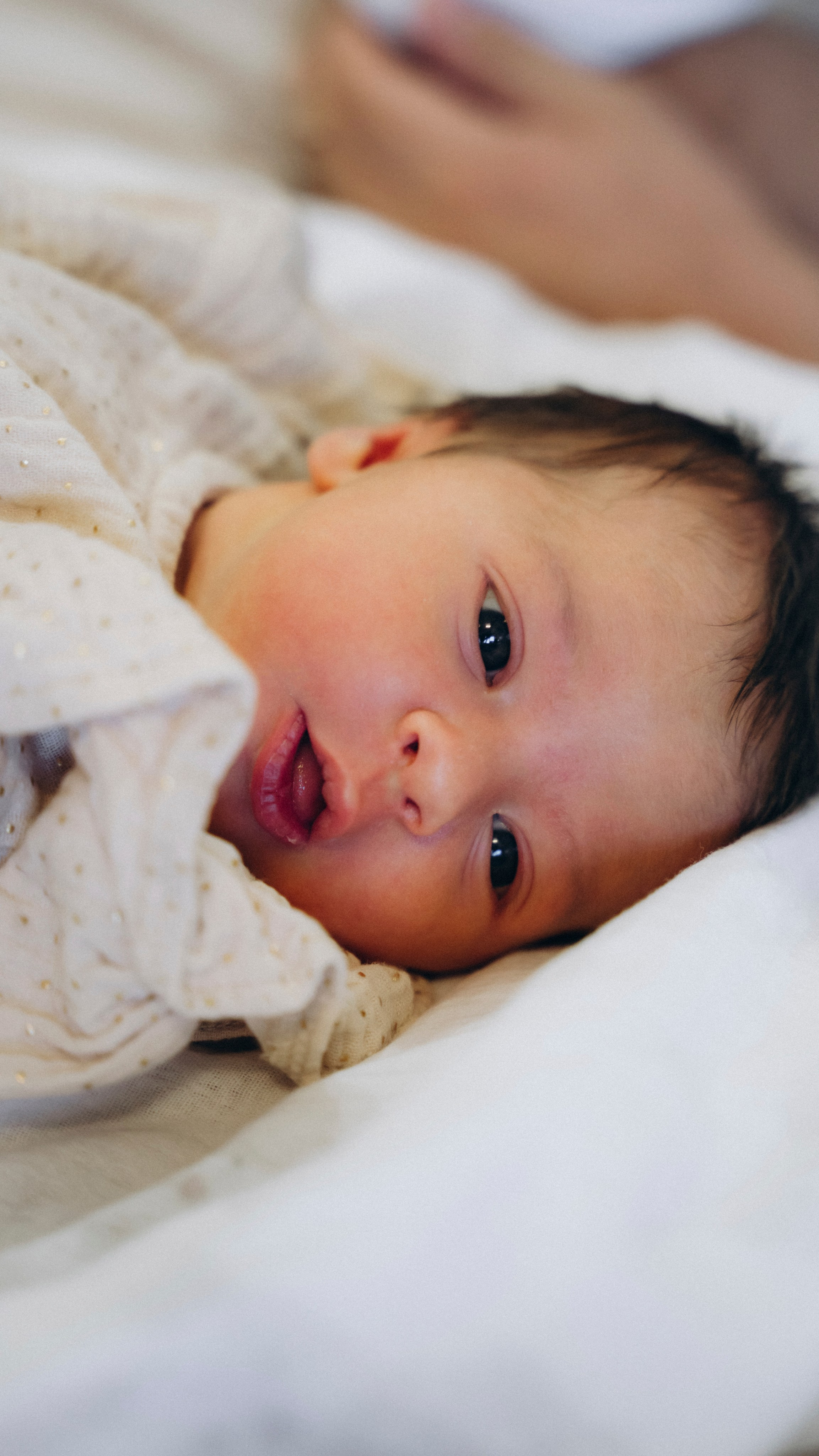 Вика и Дима. Аплас Анастасия