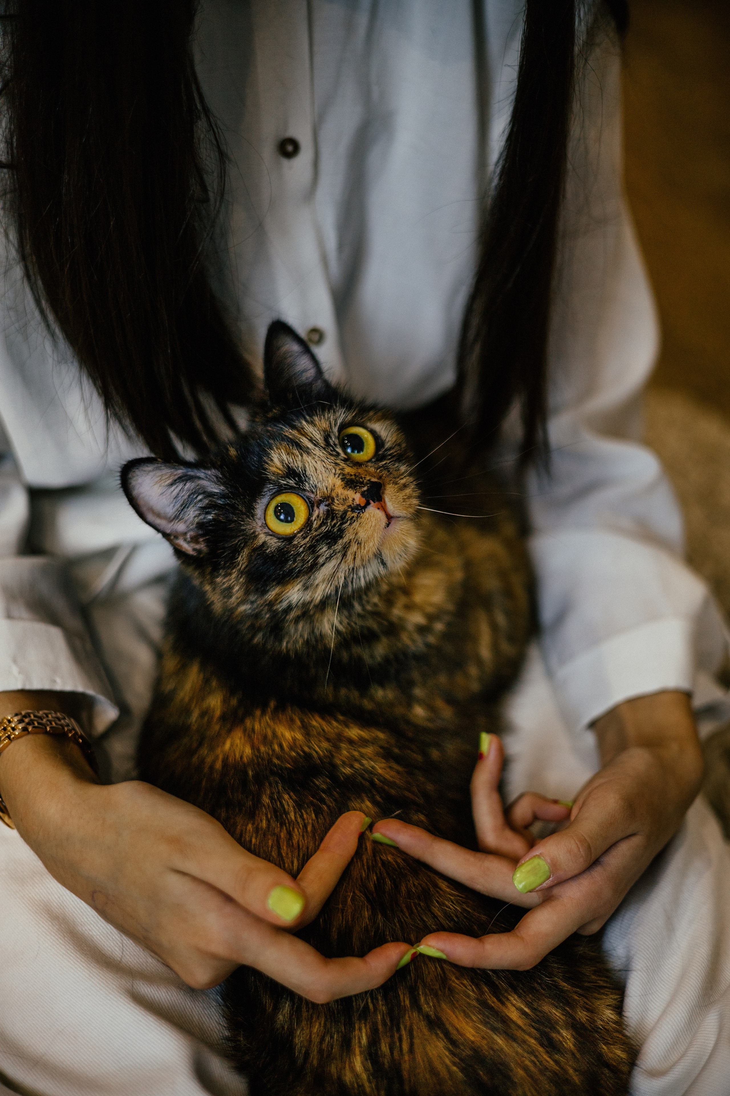 Вика и Буся. Фотограф — анималист Владивосток, Алина