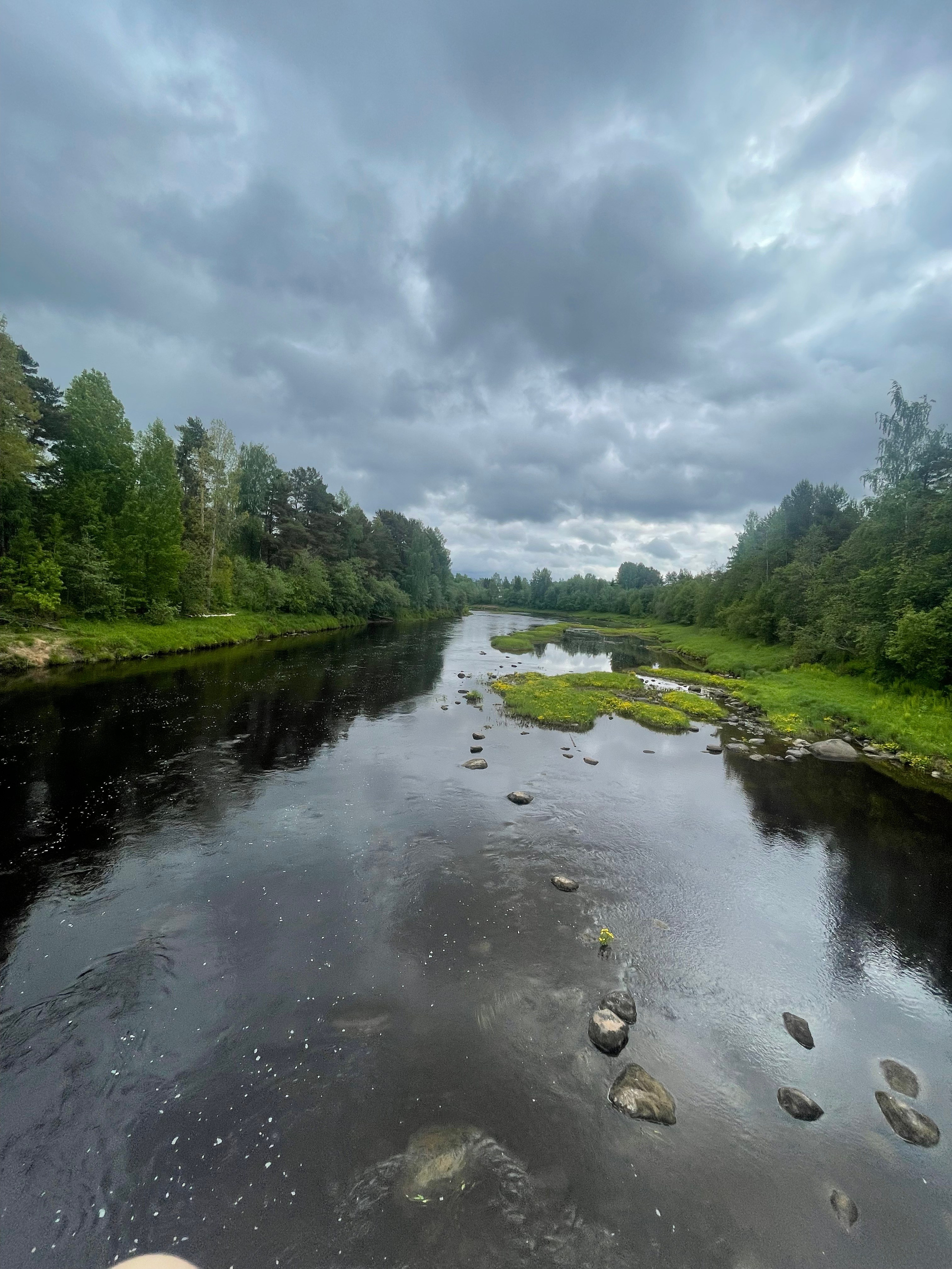 Ладога Трофи. Своя Мастерская