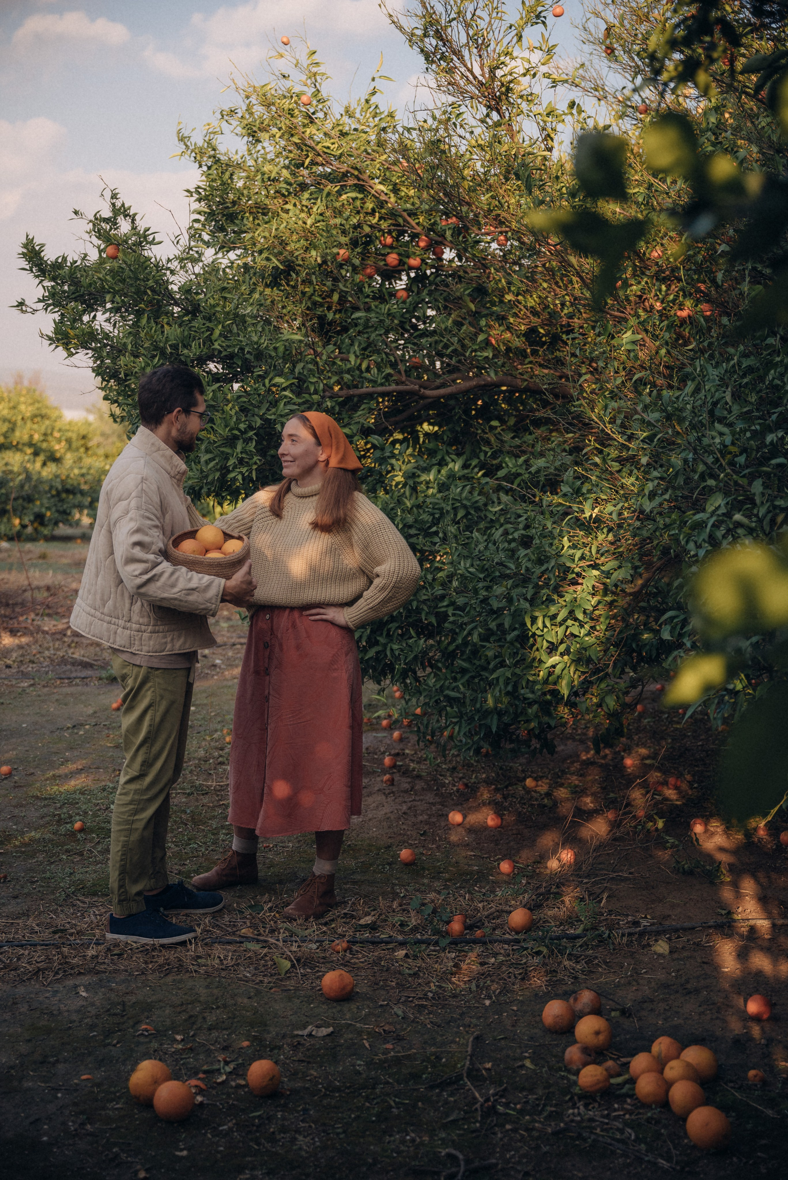 Сбор урожая. Анна Лобанова | фотограф