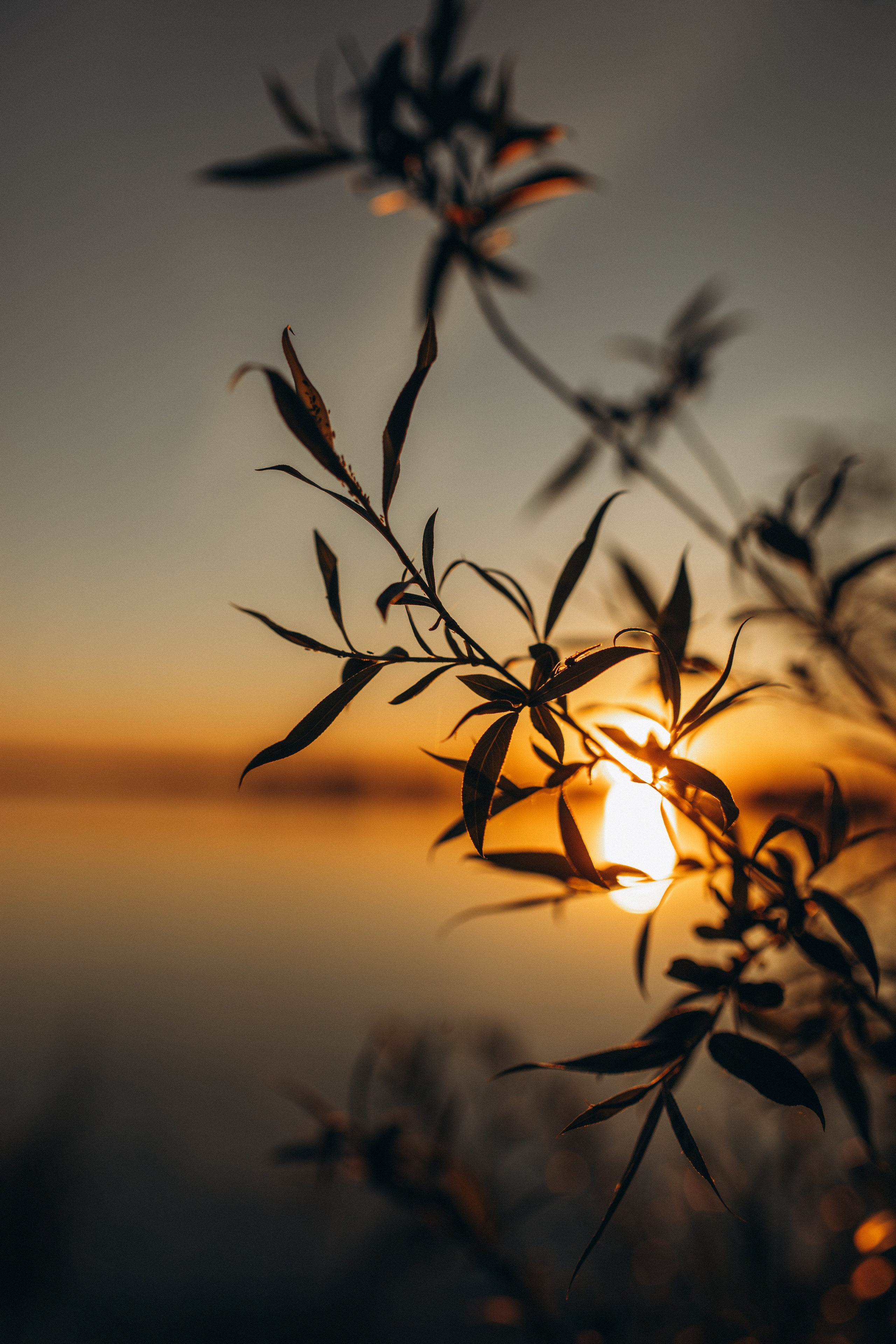 Одним теплым весенним вечером…. Фотограф Юлия Хакимова / Казань/ Чистополь