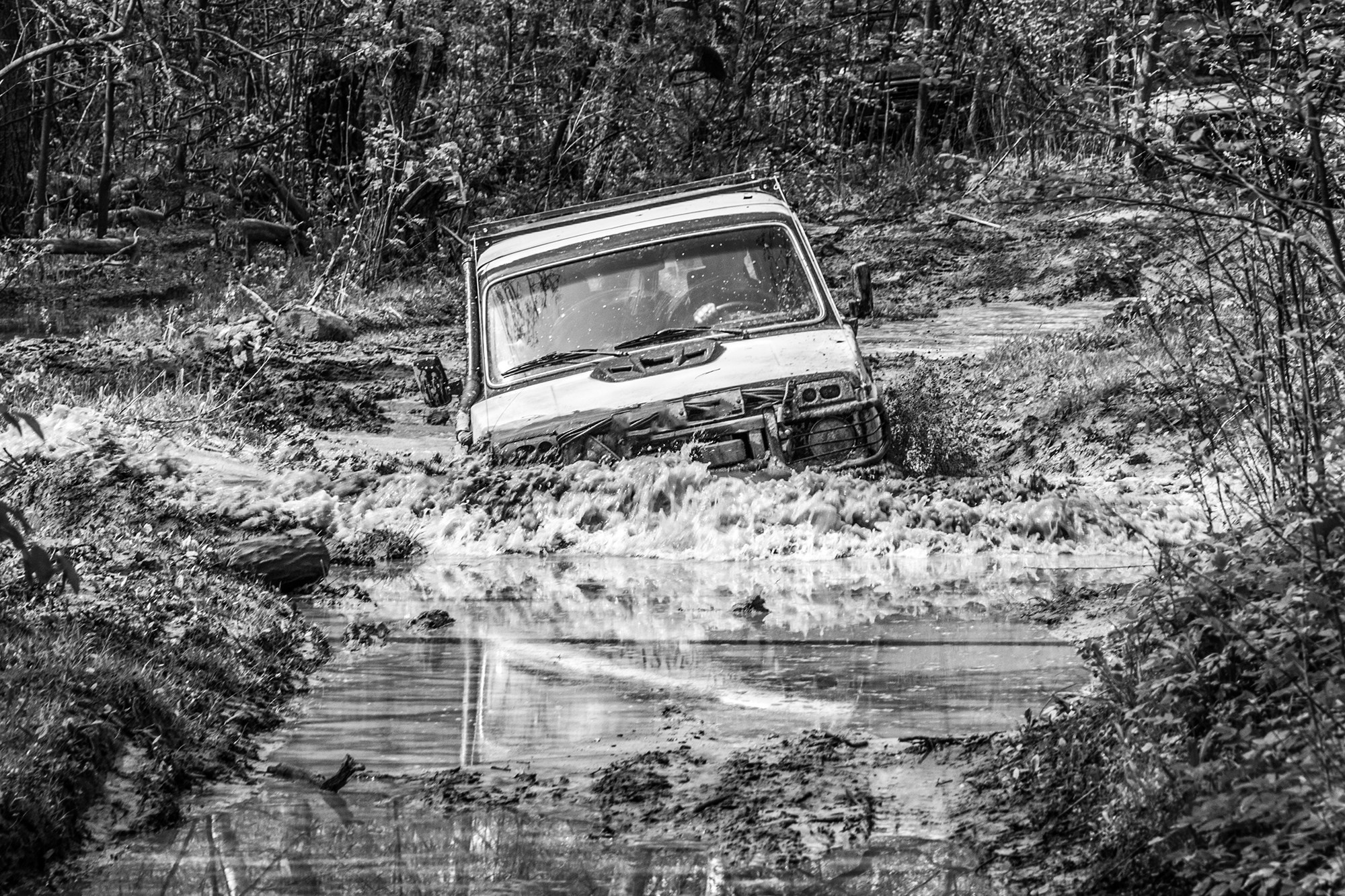 Репортаж. Портретный и семейный фотограф в Москве Волгина Анастасия