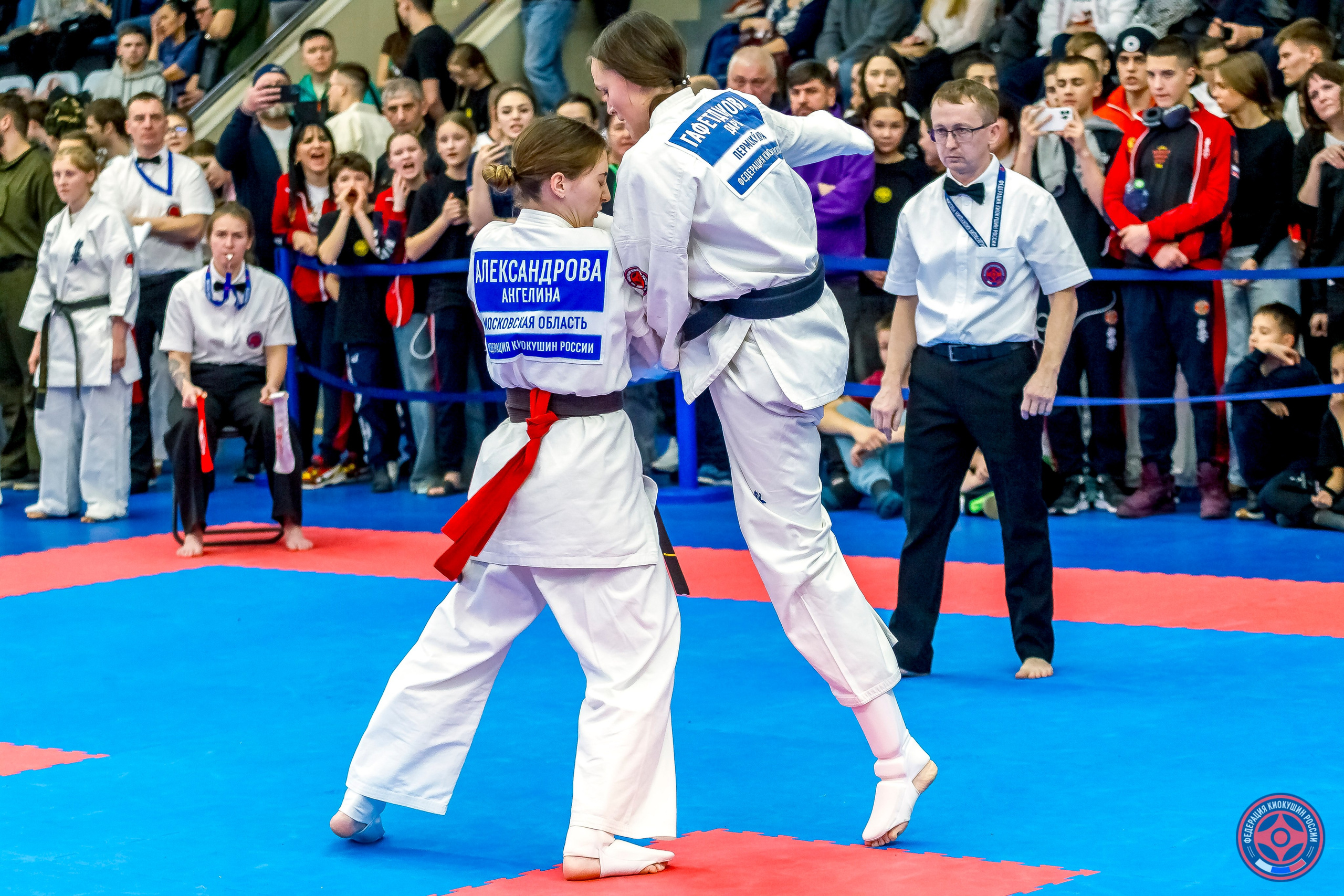 Международный турнир по киокушин «Открытый кубок Seiken». Репортажная съемка в Москве и области. Анималистика