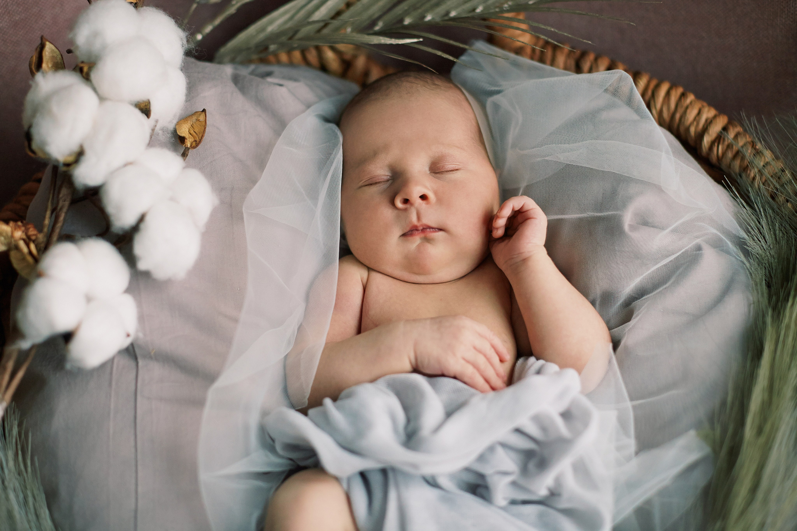 Есения. Фотограф Ольга Ефремова