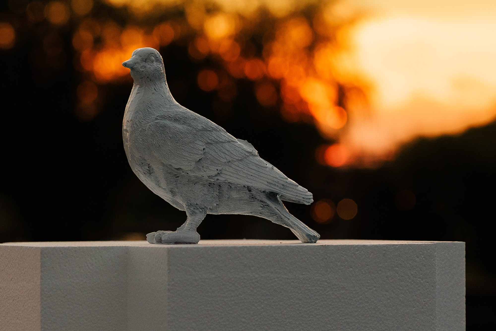 Свадебный фотограф в Москве и Санкт-Петербурге