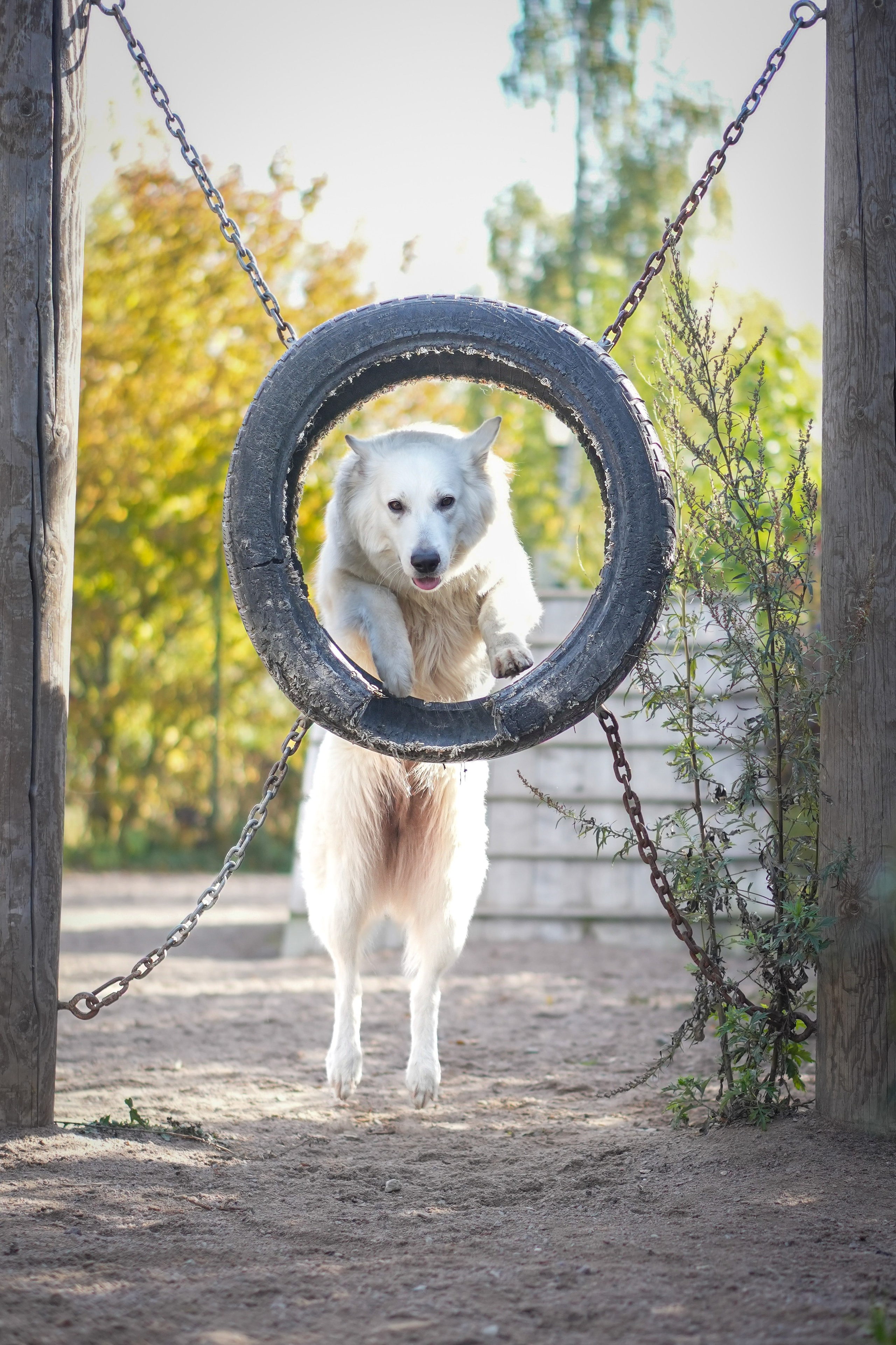 БШО Прити. Фотограф-анималист Асадова
