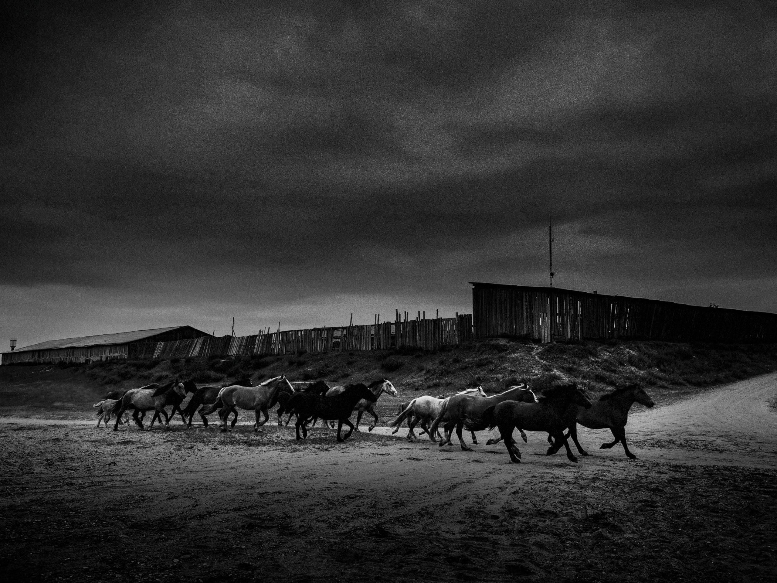 Побережье. Репортажный фотограф Анна Диденко