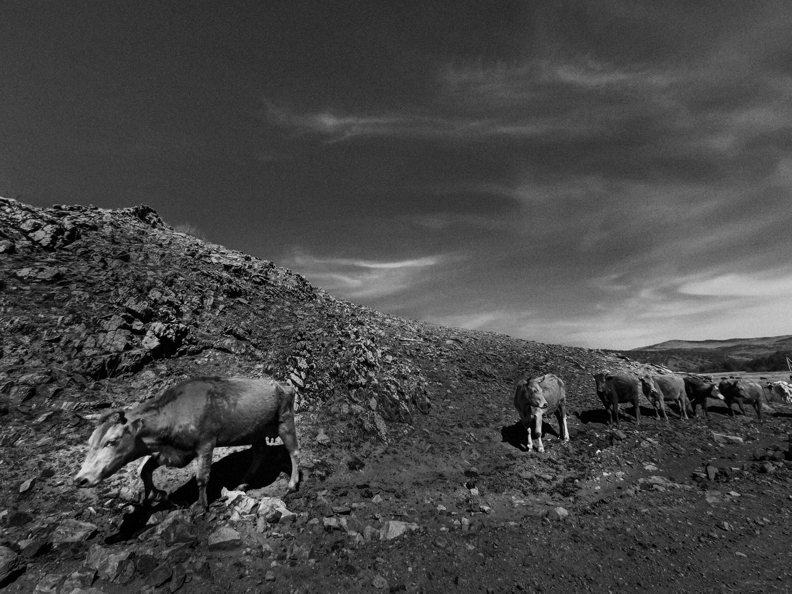 Побережье. Репортажный фотограф Анна Диденко