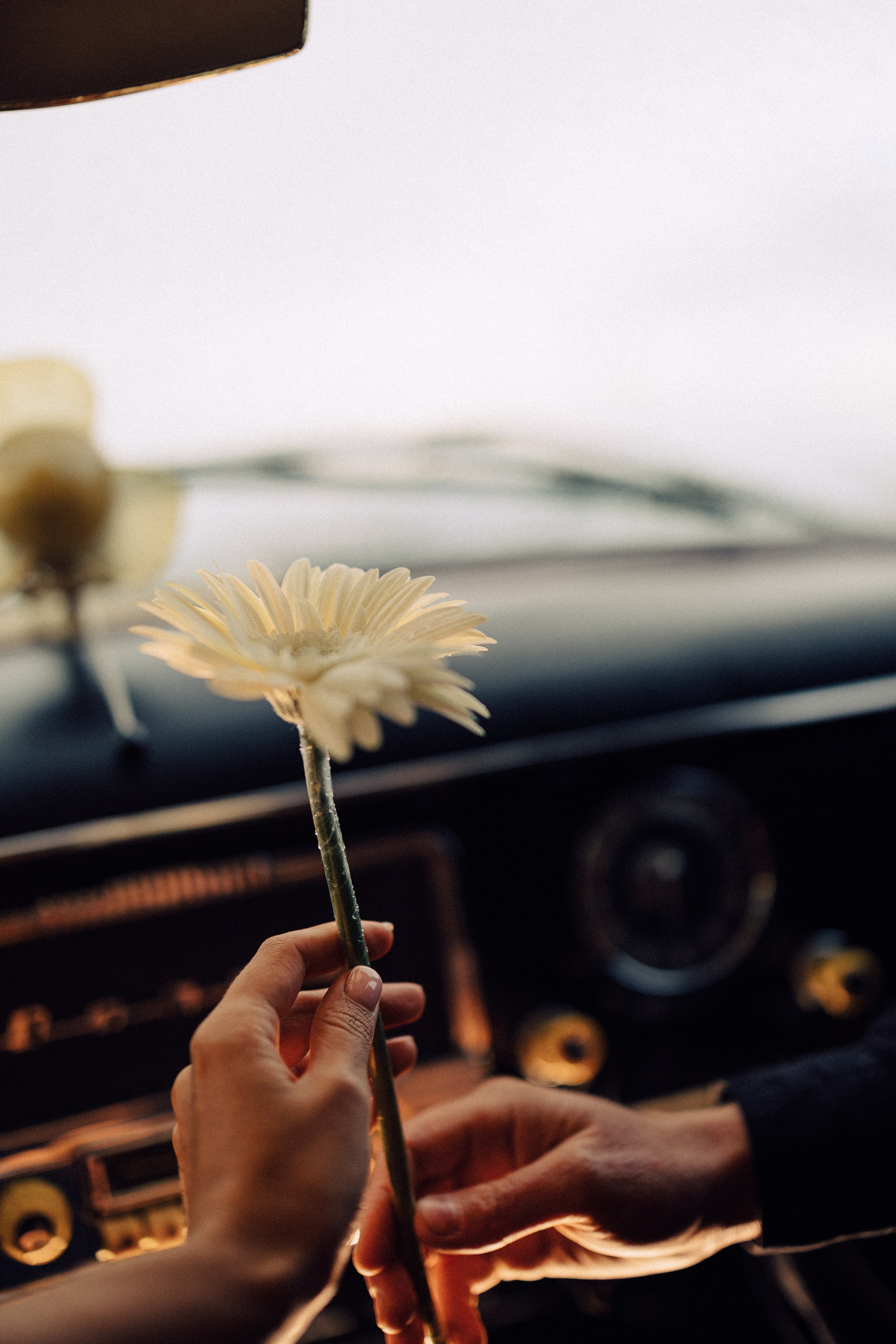 Ваня и Тоня. Daria Chigintseva Photographer