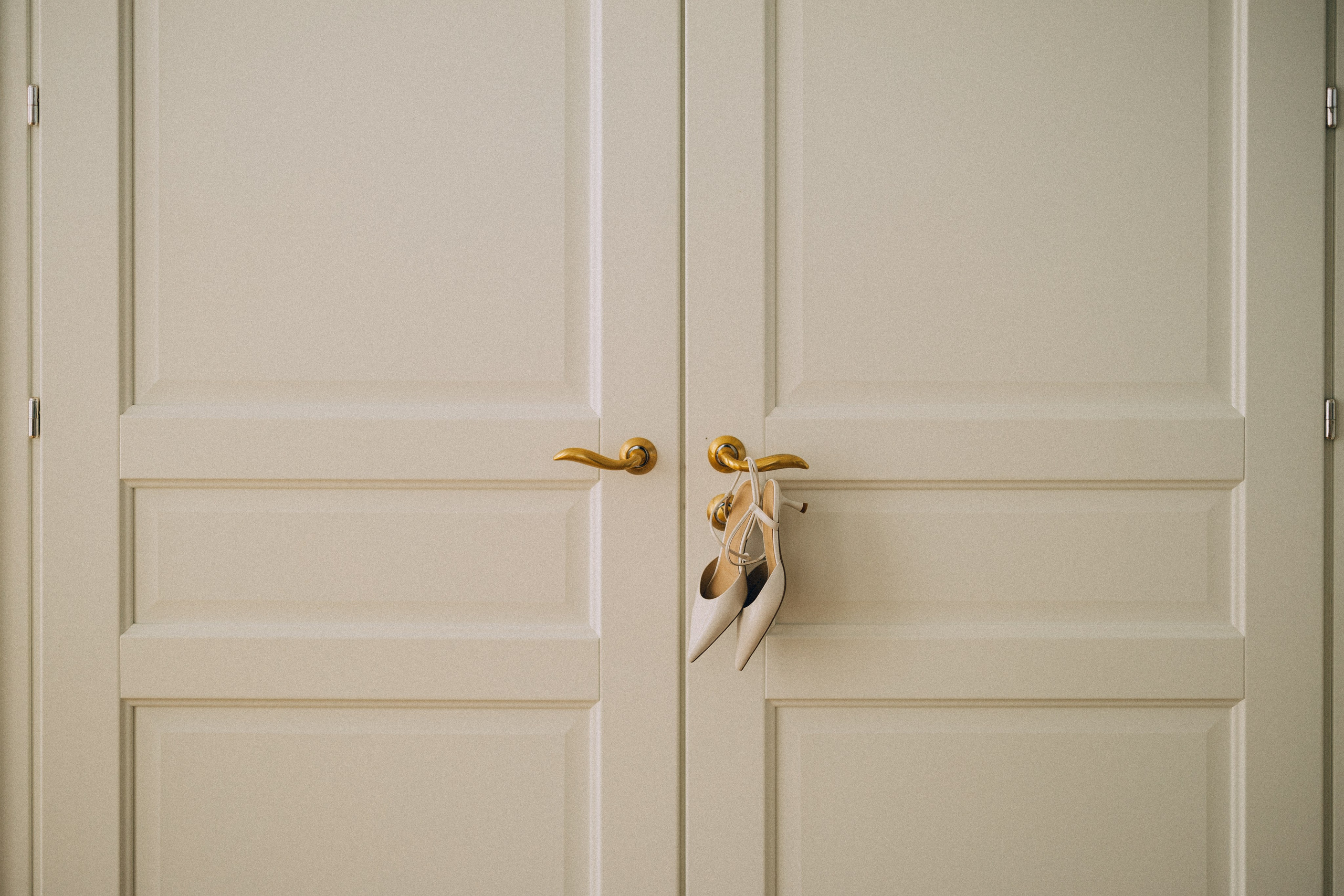 Dandelions. Daria Chigintseva Photographer