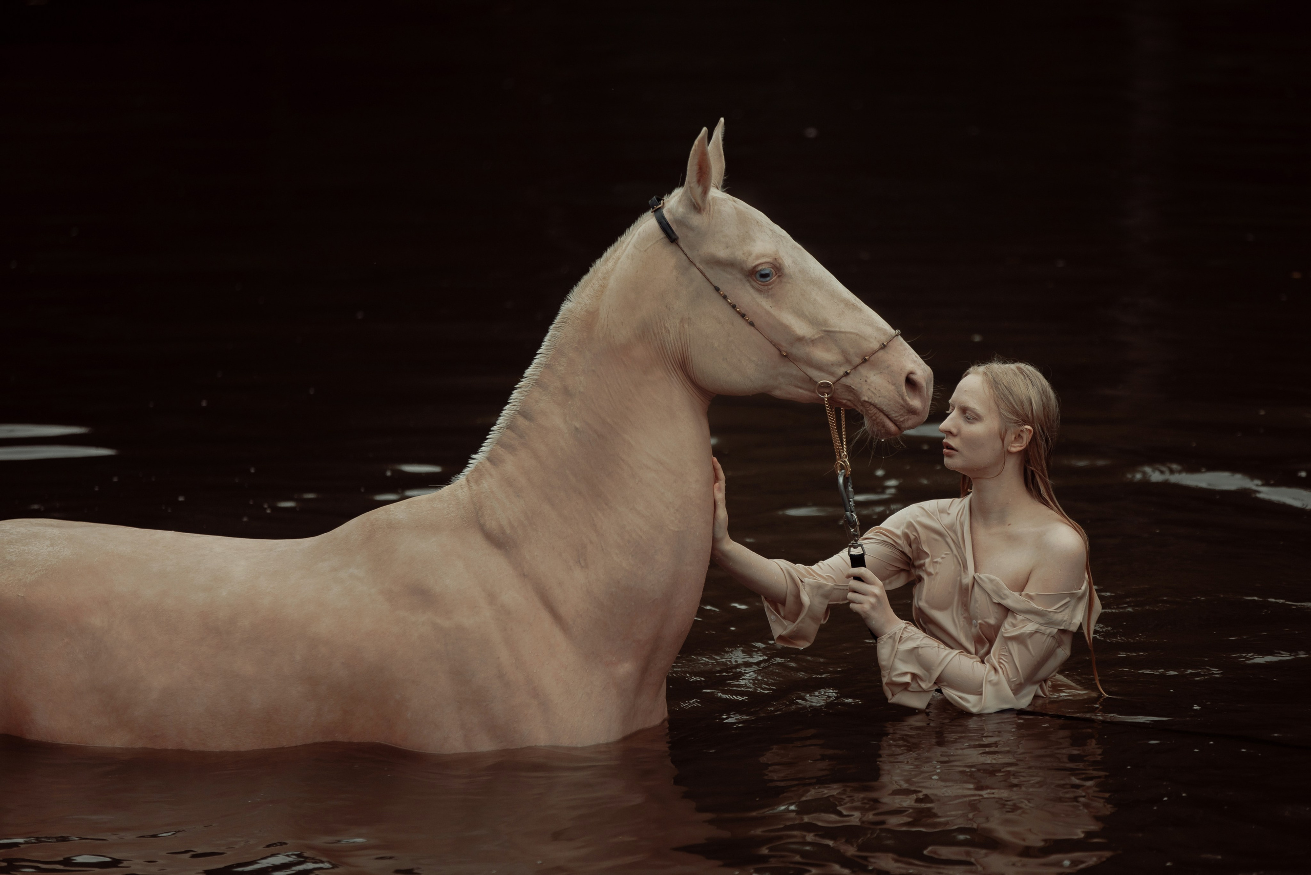 Конная съёмка. Взрослые. Детская Конная фотография в Москве Юлия Шепелева