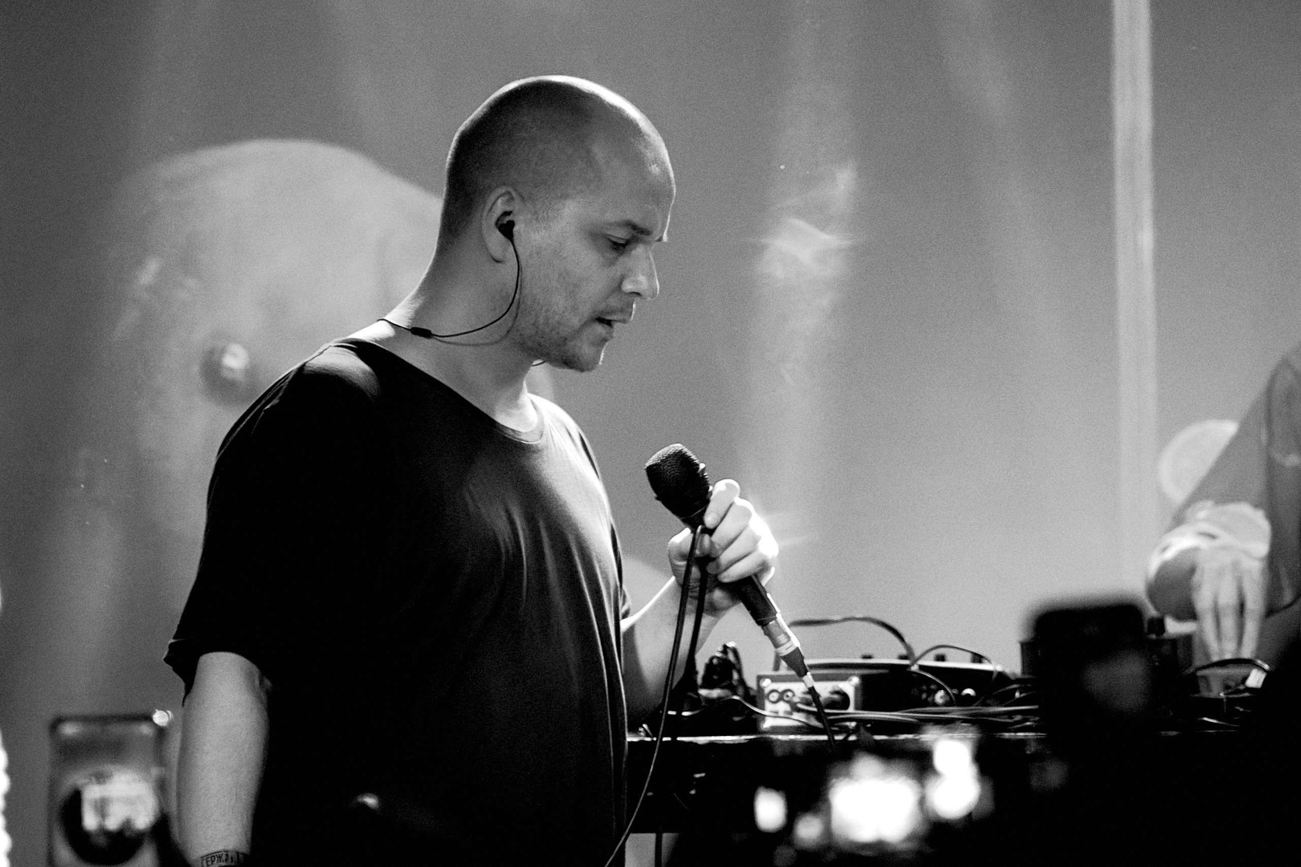 Порез на собаке. Фотограф Юлия Маринина