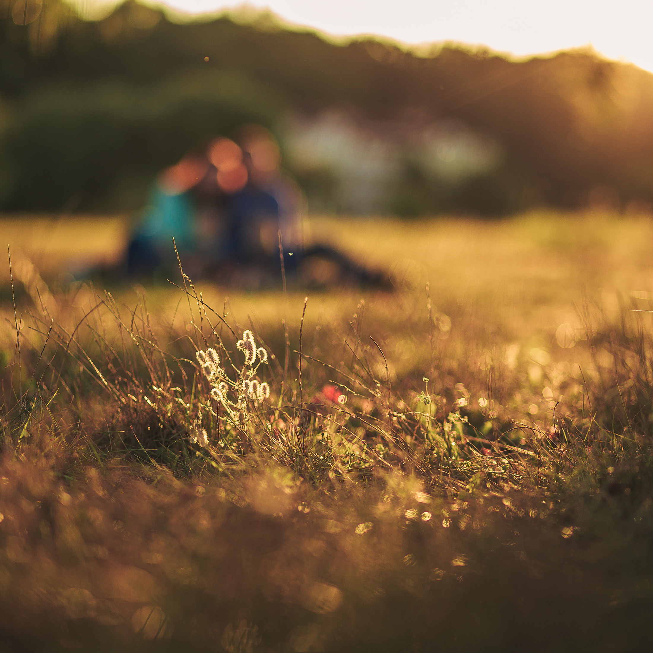 Женя и Даша. Семейный, детский, свадебный фотограф по всей РБ Валера Михневич