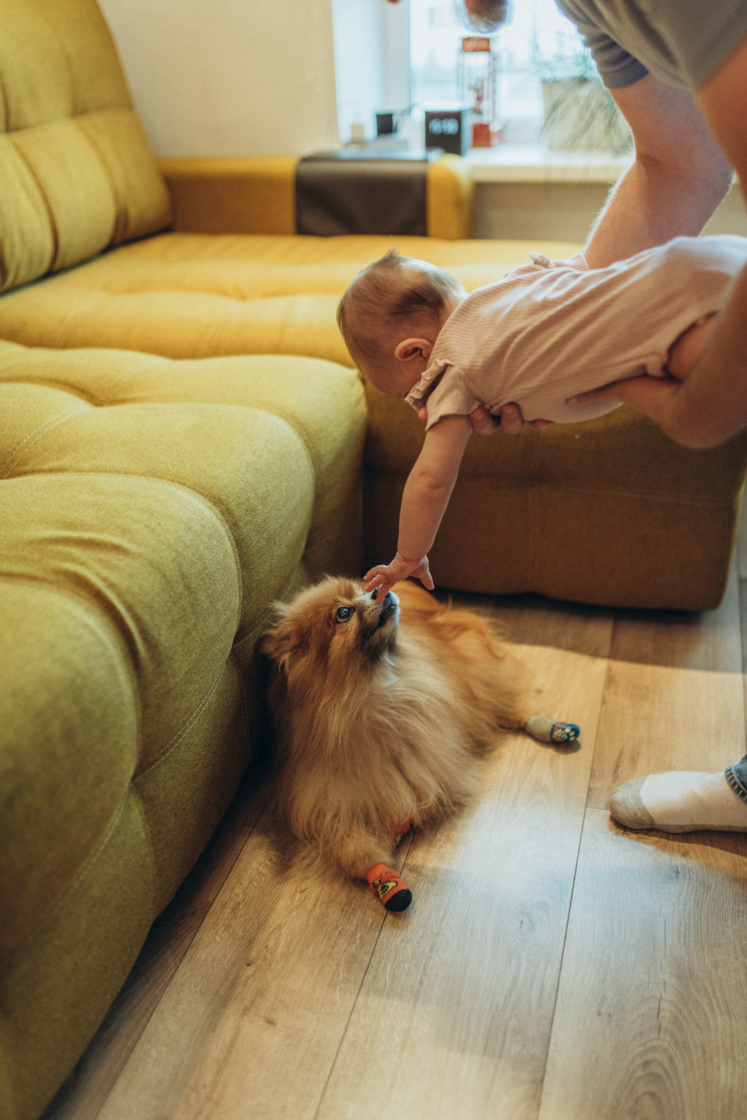 Василиса. Семейный фотограф в Москве Екатерина Север