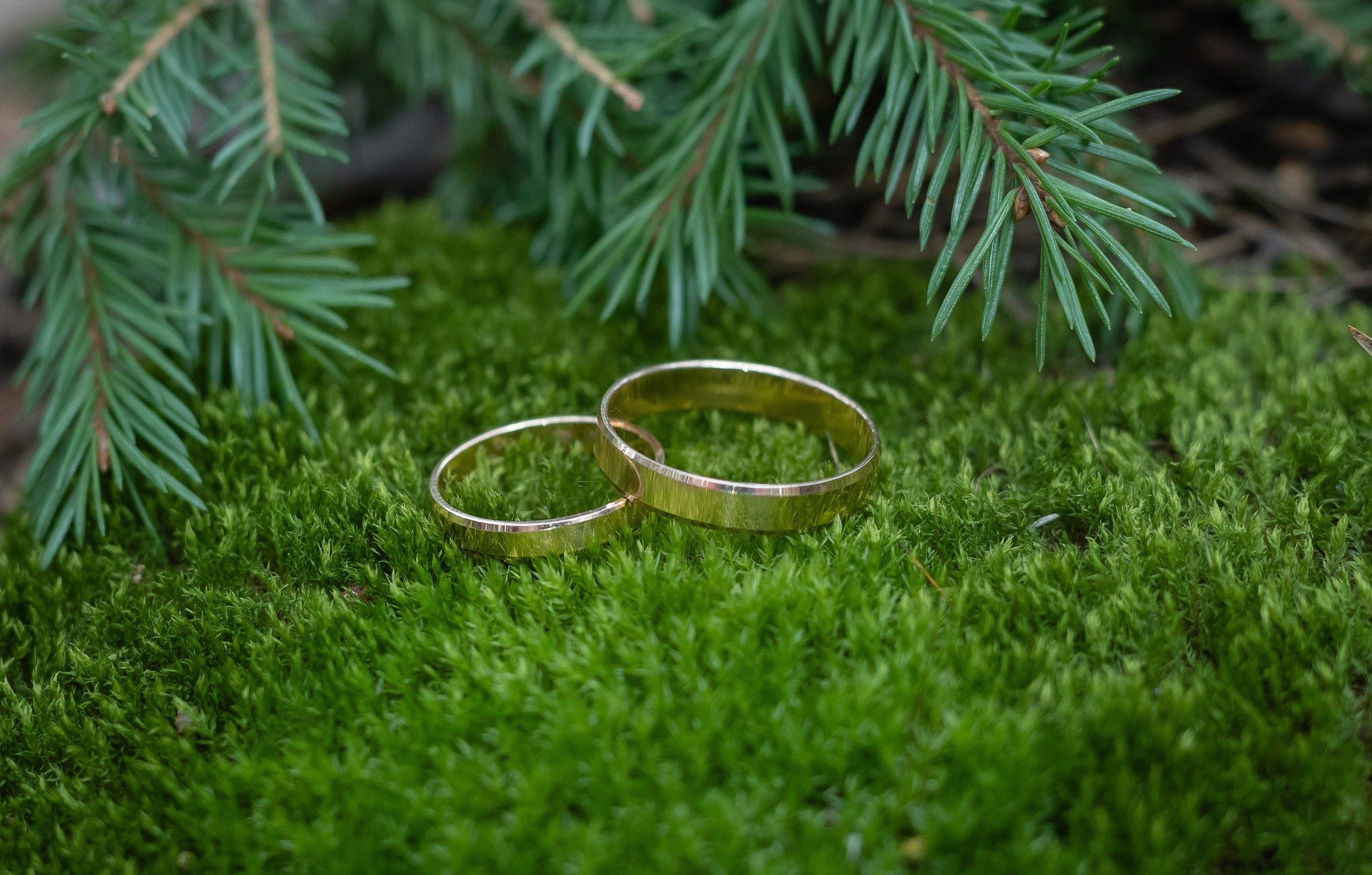 Андрей и Екатерина. Фотограф Татьяна Орлова