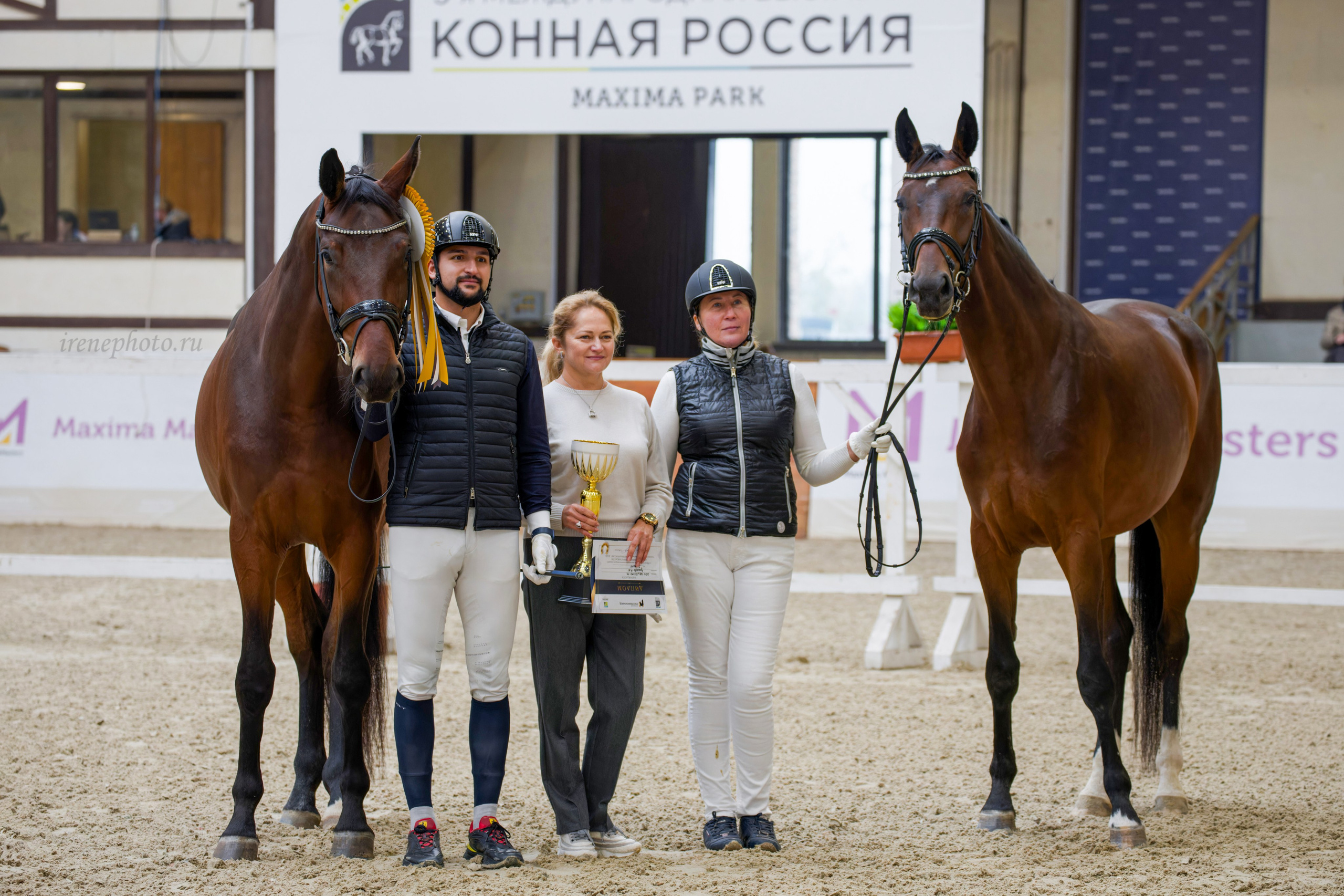 Конная Россия 2024 Оценка двигательных качеств. Irenephoto.ru