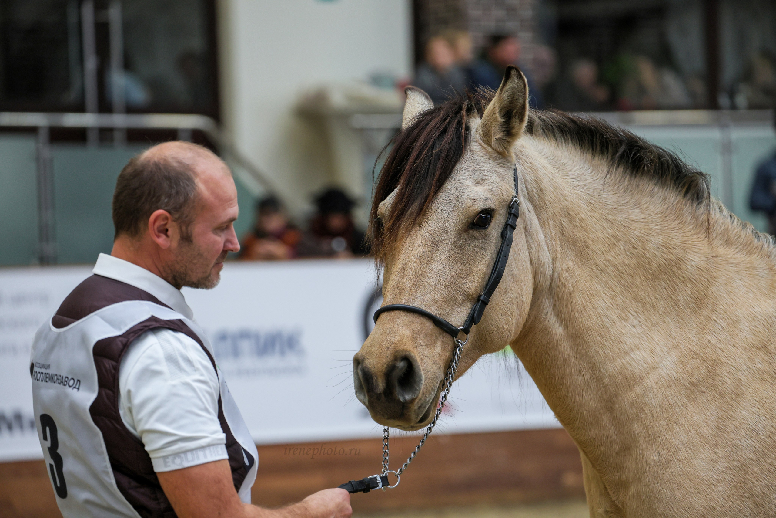 Конная Россия 2024. Irenephoto.ru