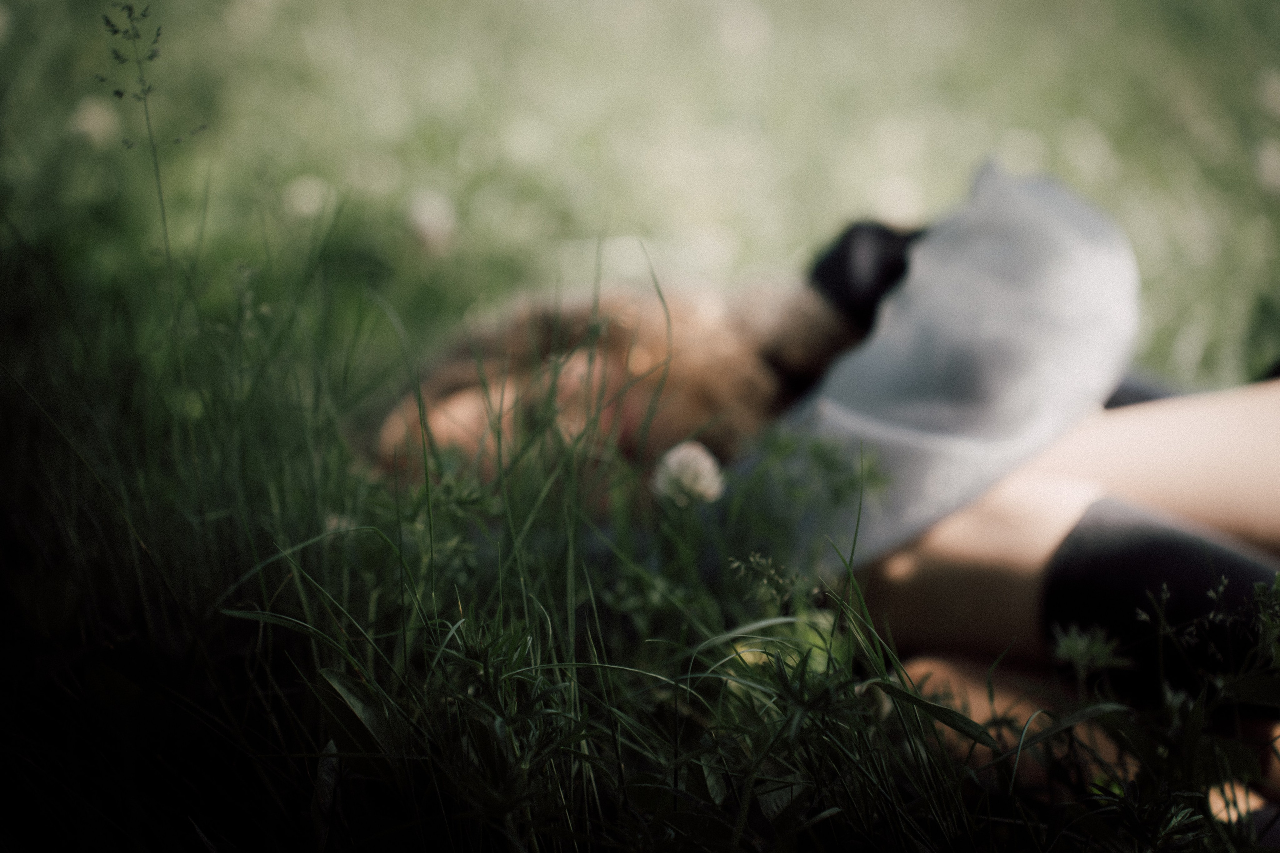 Творческие Проекты. Фото