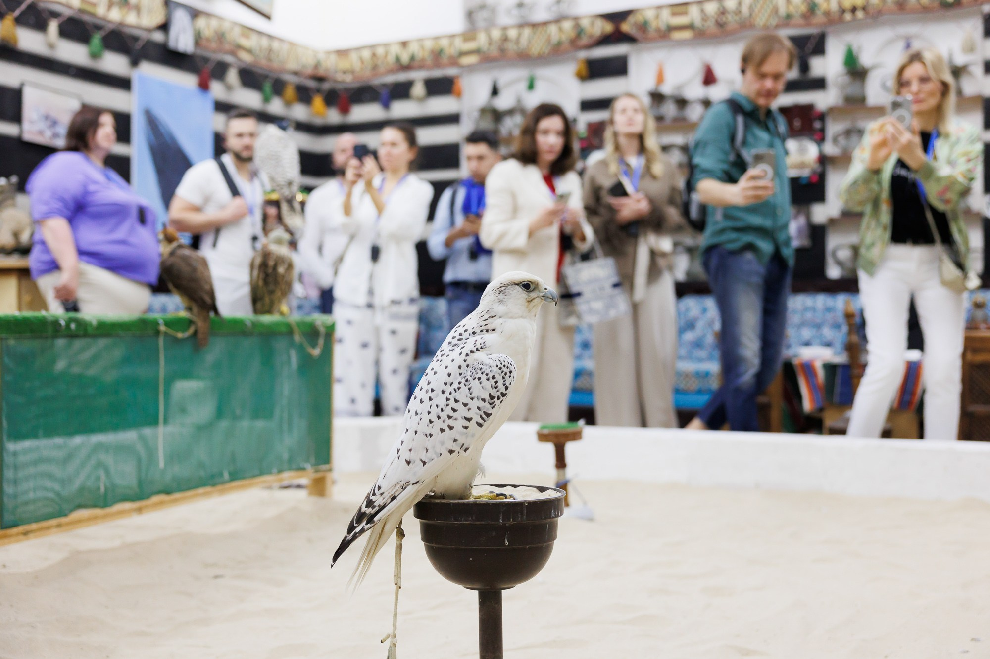 Корпоративный выезд в Qatar. Фотограф Дмитрий Елисеев