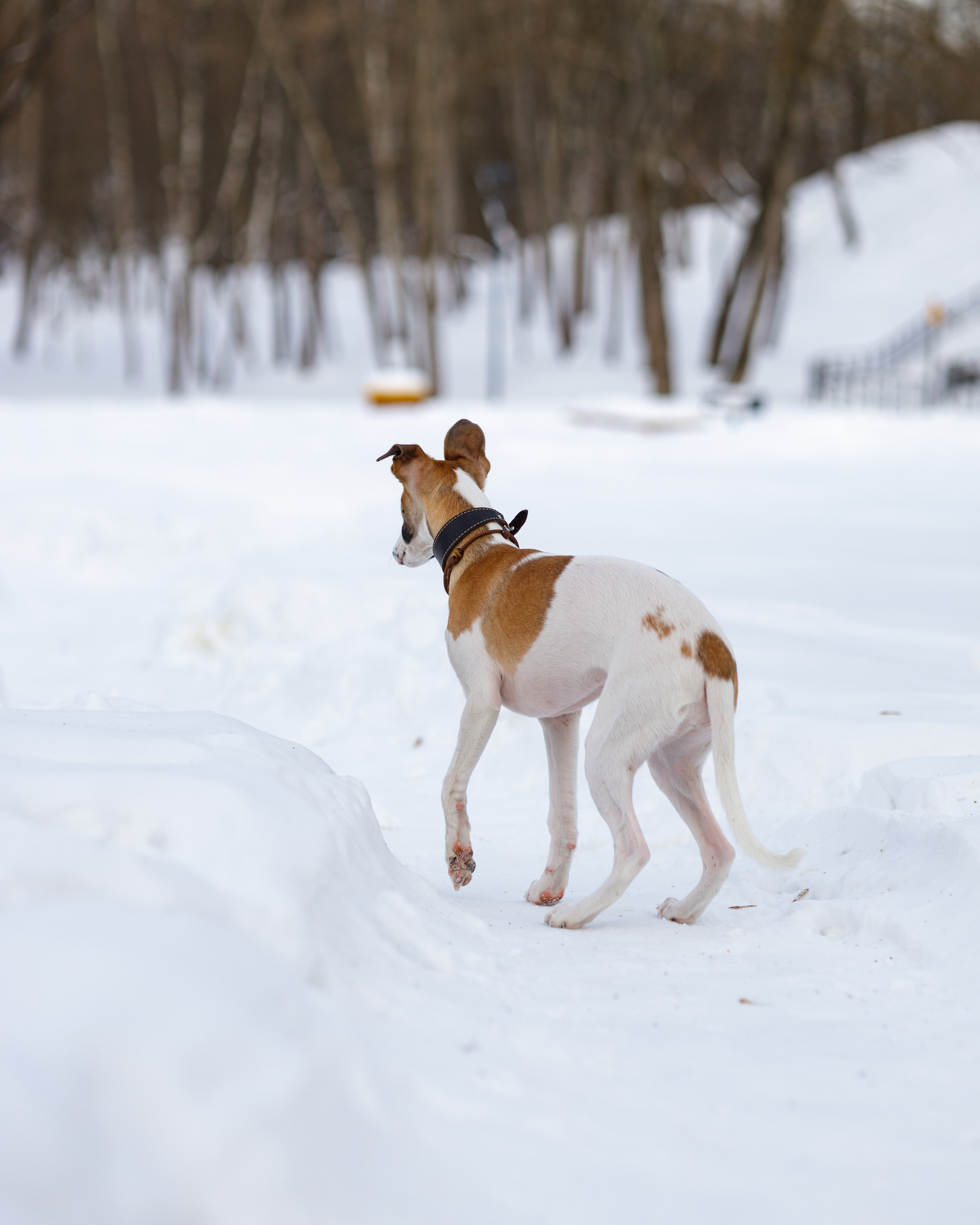 Ланди. Анна Самохина. Фотограф. Москва