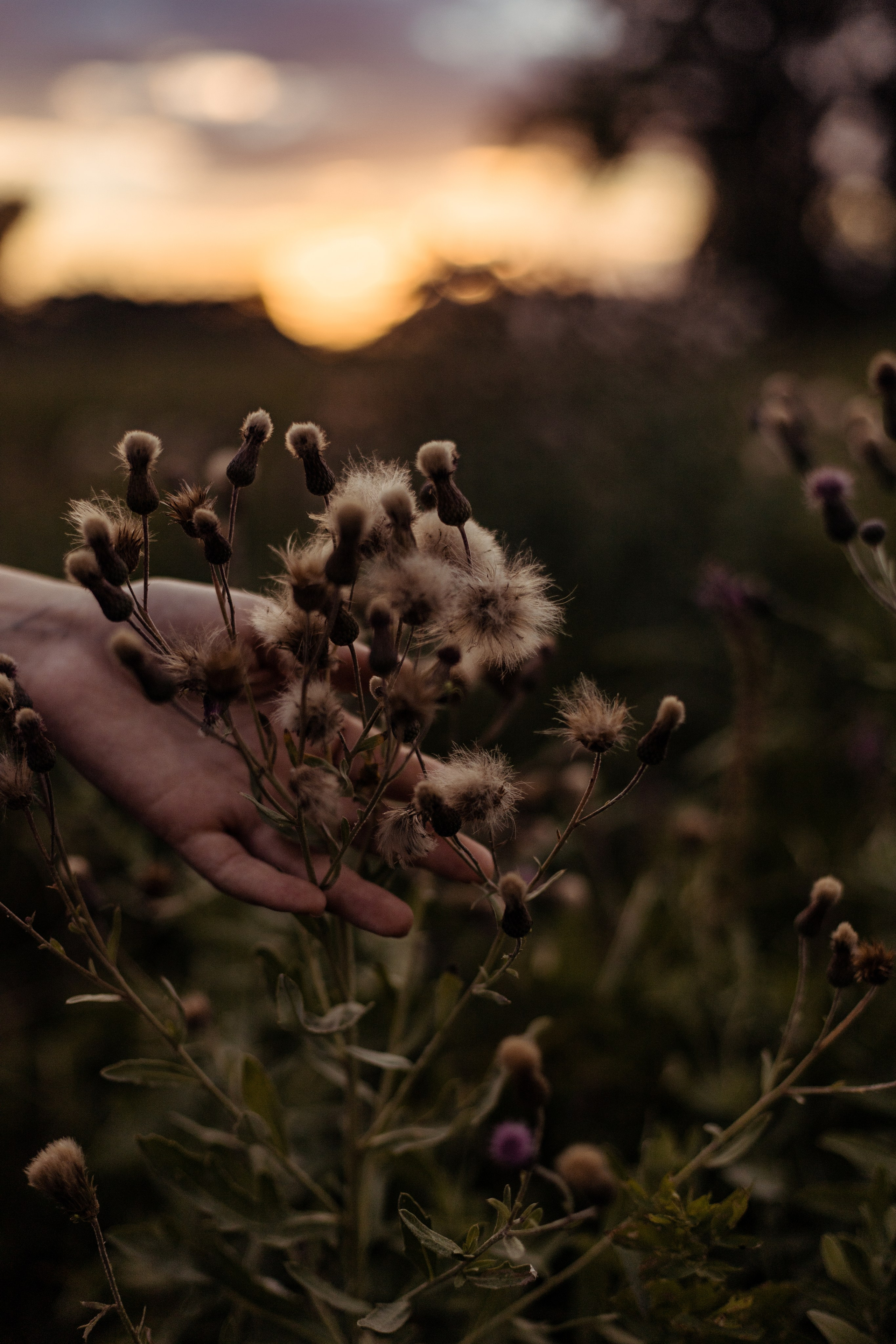 Индивидуальная съемка. Главная