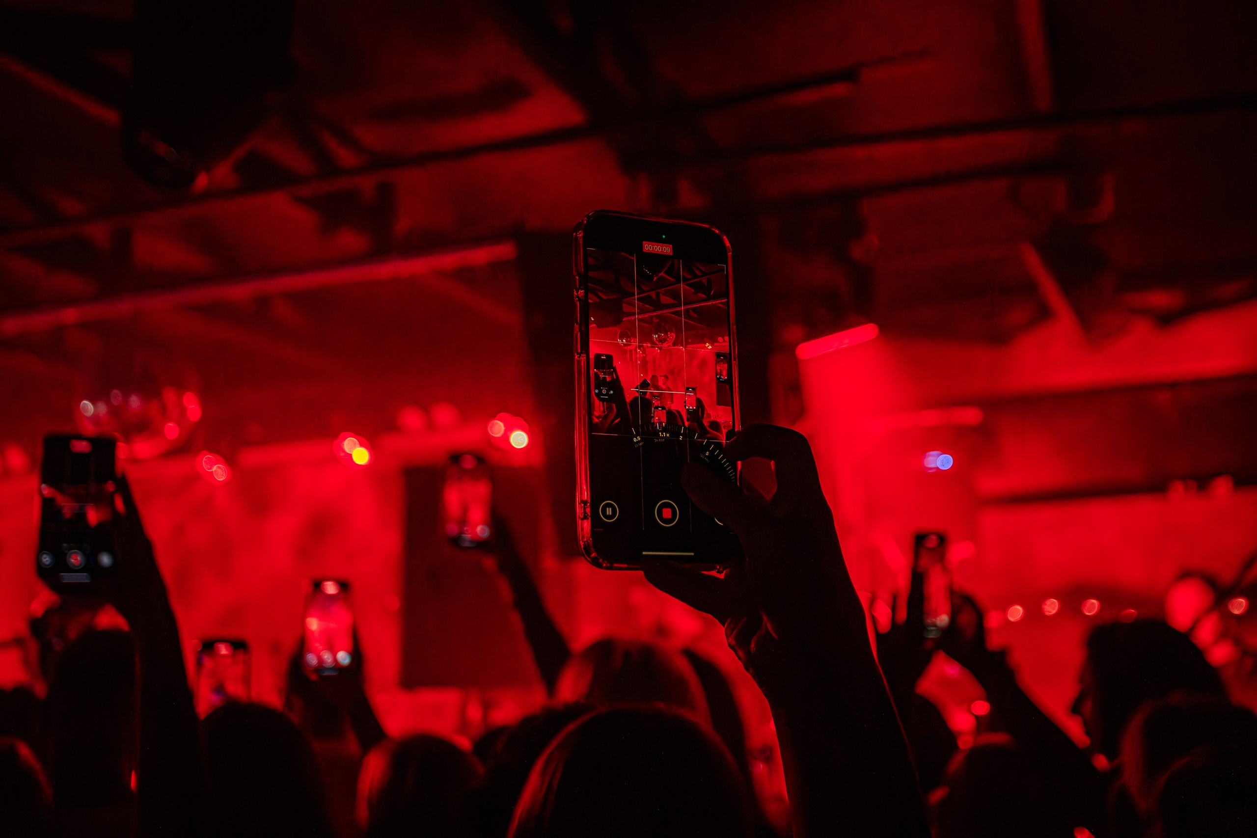 «Лёша СВИК"_Чайка на пляже_Ялта_04.07.2025 г. Аминов Руслан | Фотограф