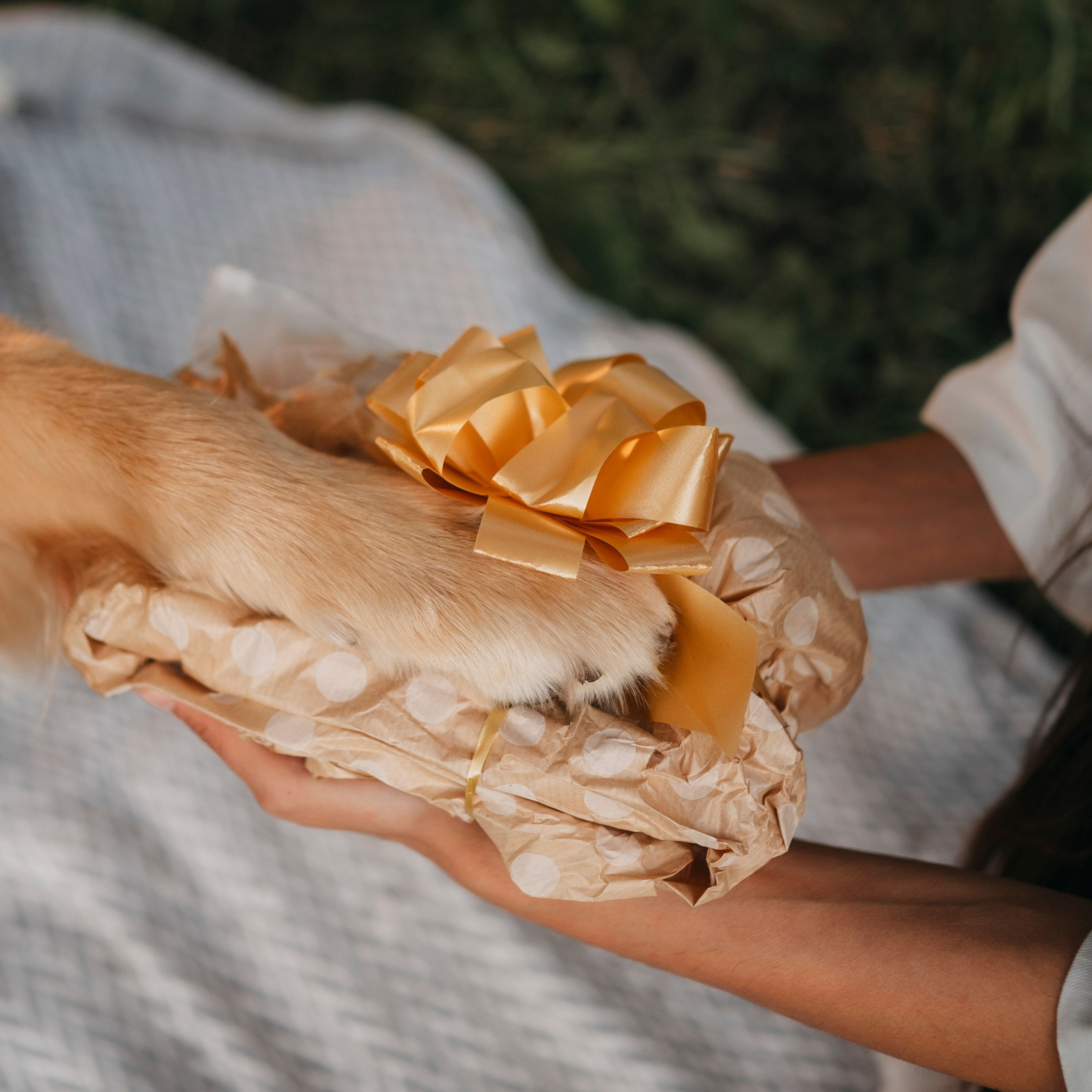 Карина, Саша и Луни. Семейный фотограф анималист Ананьева Мария — Москва