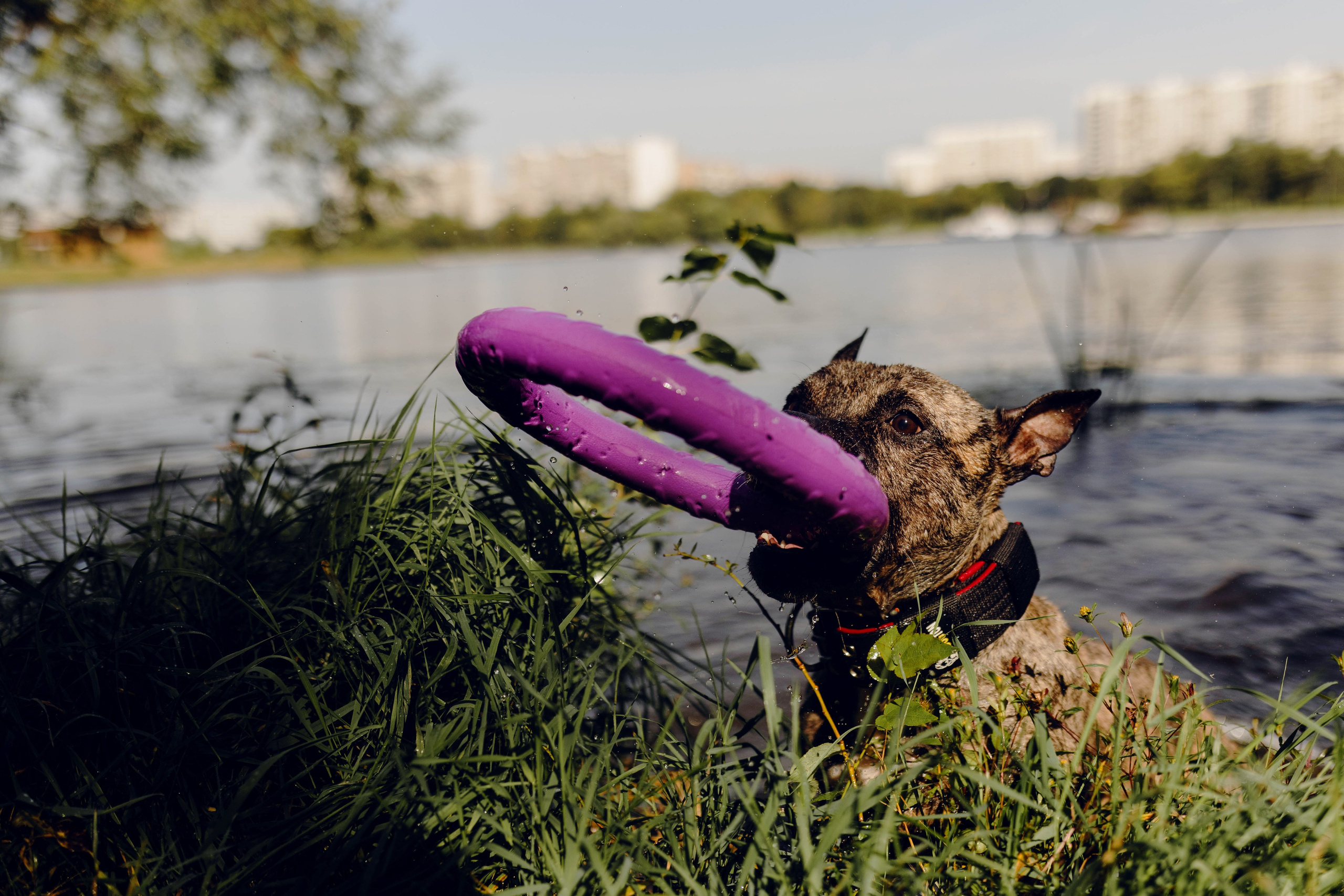 Москва / Билл и его семья. Фотограф Кузина Вера
