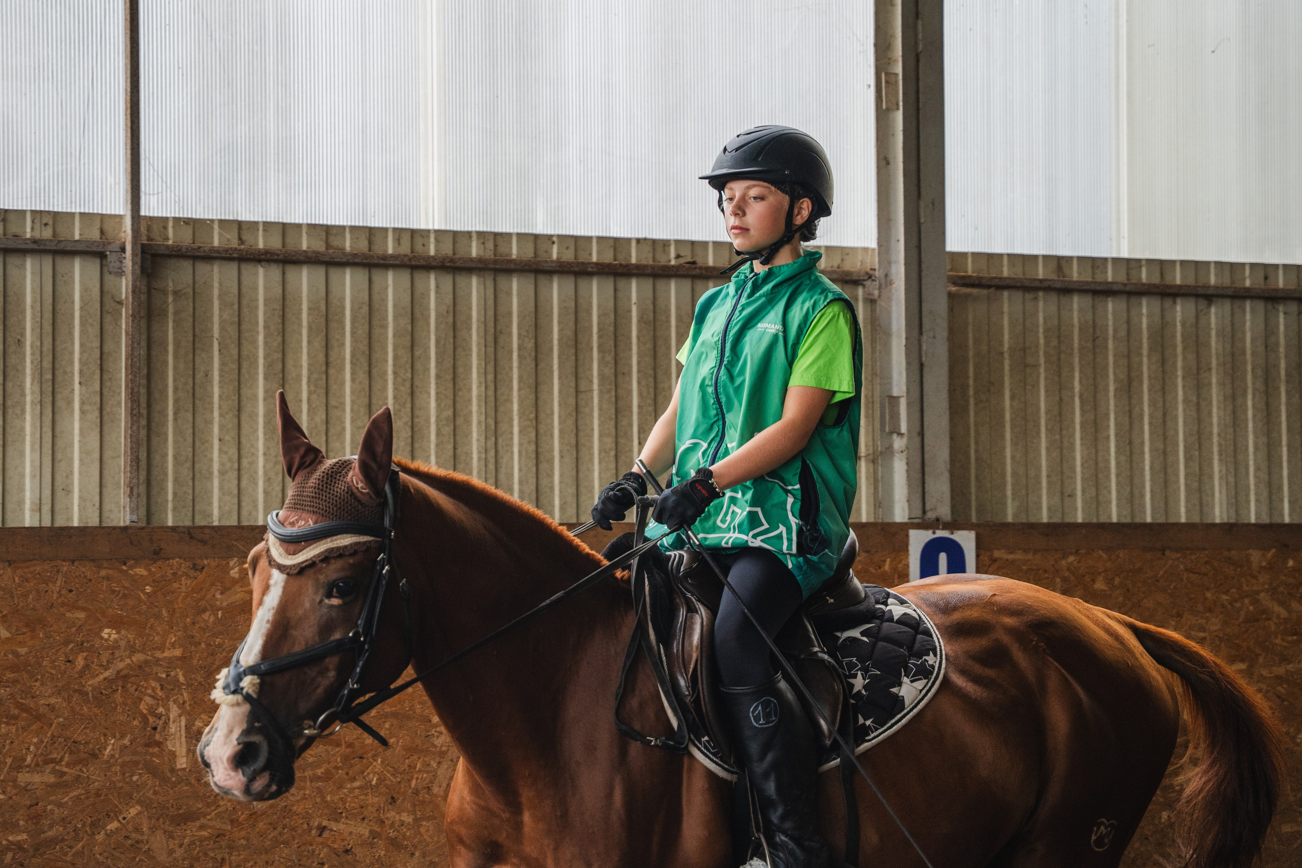 Конное занятие. Главная