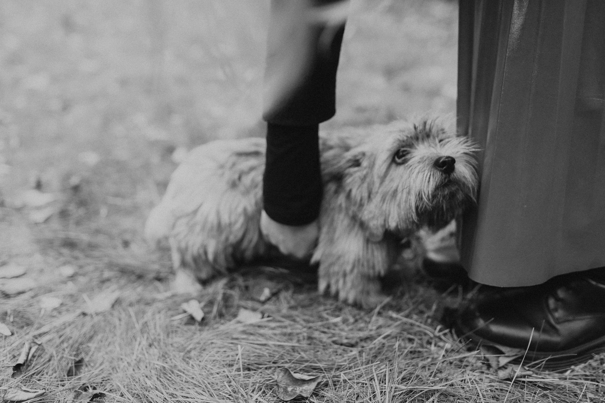 Семейная домашняя фотосессия жк Эдем. Семейный фотограф Маша Тимофеева | Москва