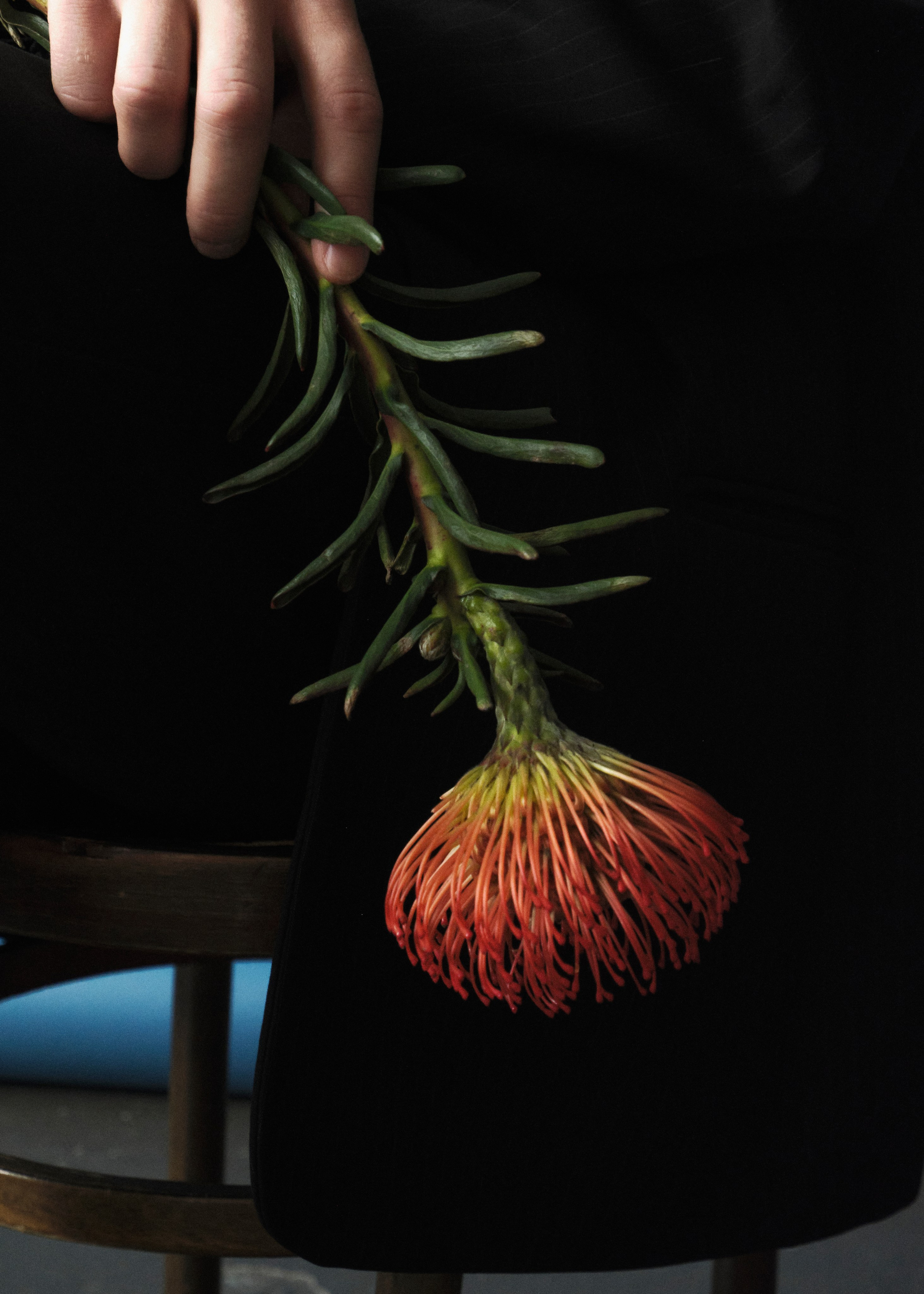 НИНО МЕРАБИШВИЛИ