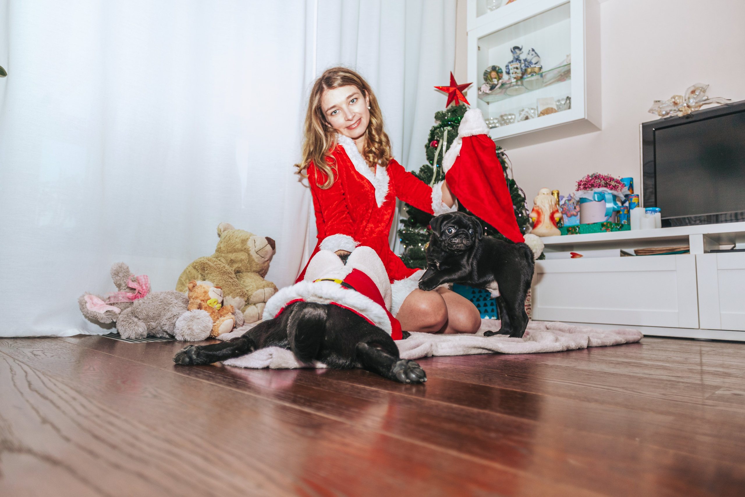 Домашняя фотосессия Оли и двух ее мопсов. Фотограф-анималист Татьяна Степанова