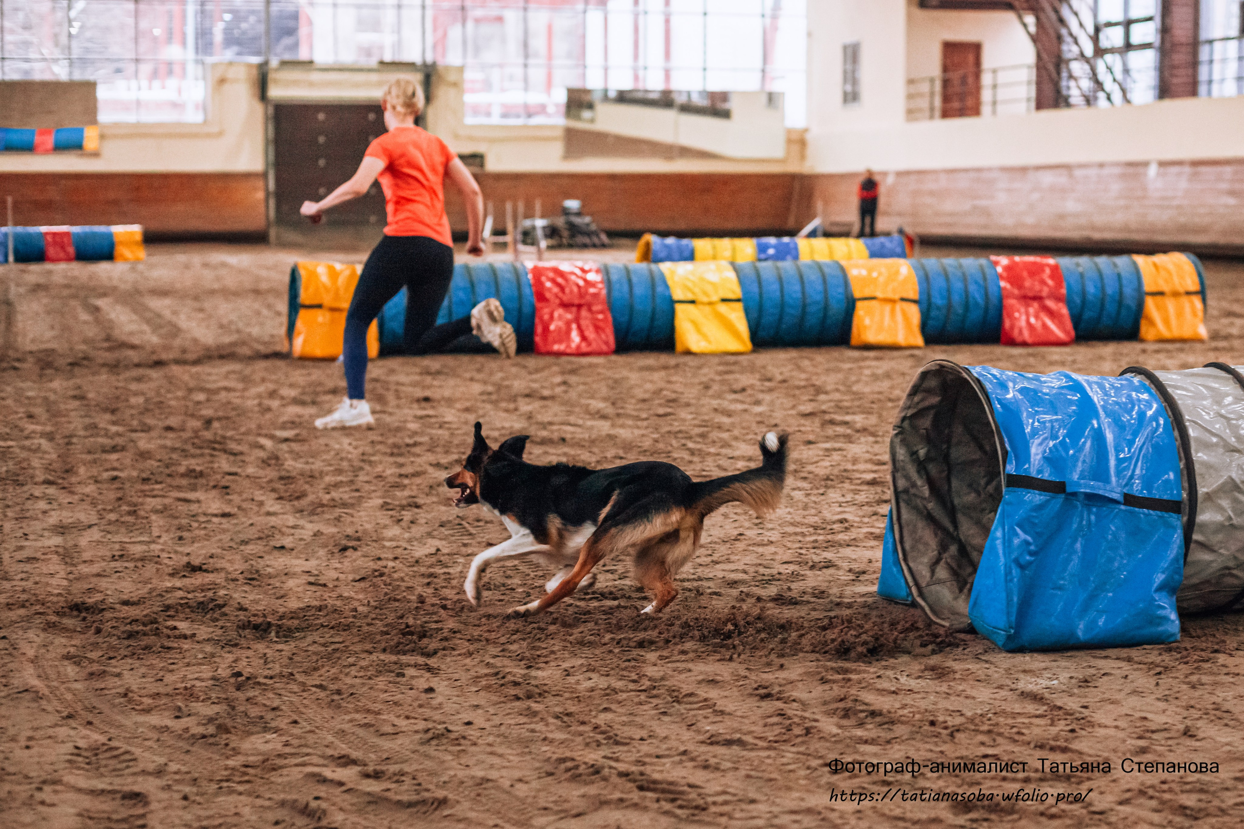 Соревнования по Аджилити 25.02.2024. Фотограф-анималист Татьяна Степанова