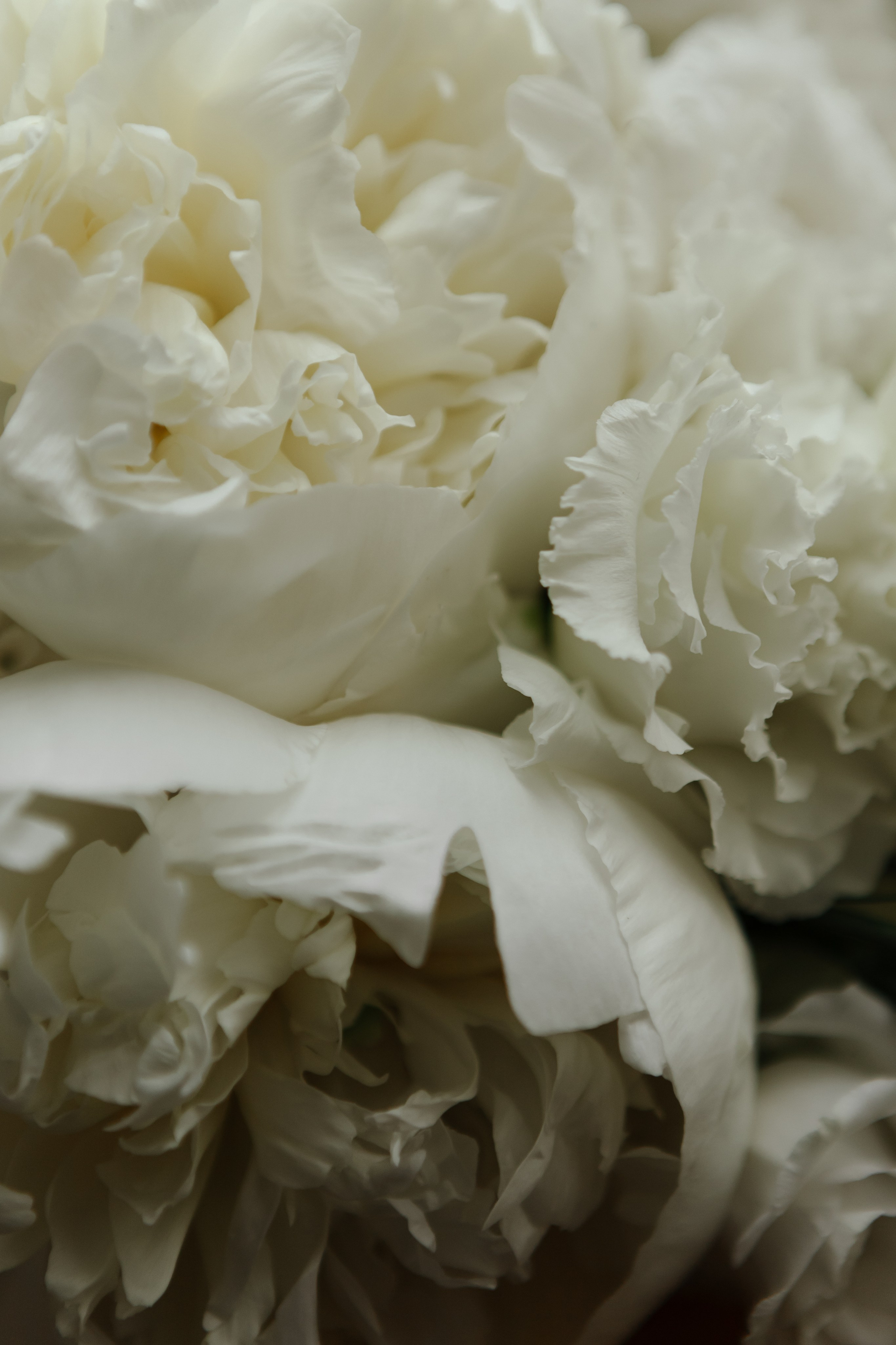 Свадьба Никиты и Полины. Фотограф Кольчугино/Владимир/Москва Елизавета Иода