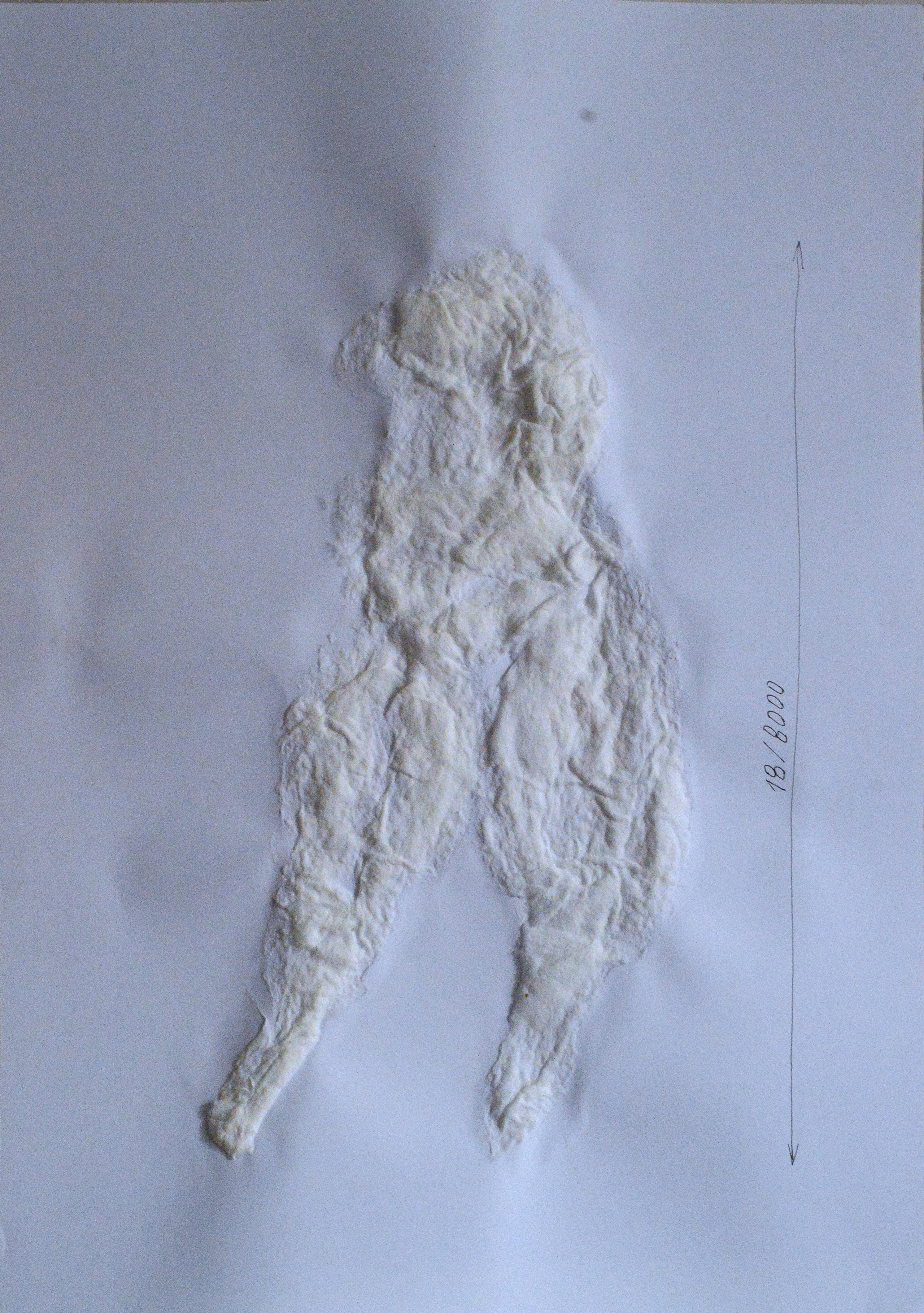 «8000 женщин» 2025. Лилия Ким. Междисциплинарный художник