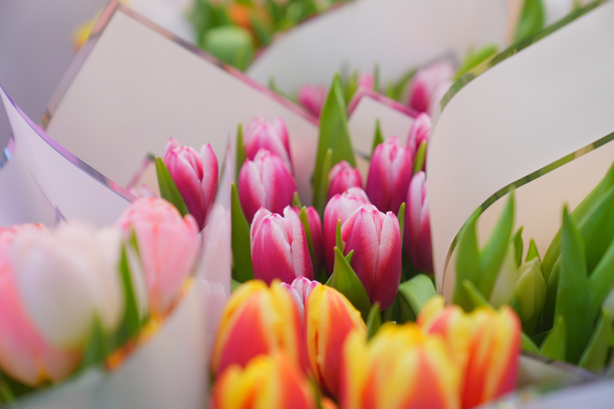 Еда, маркетплейсы, предметные и контент снимки. Репортажный фотограф в Калининграде Морозов Кирилл