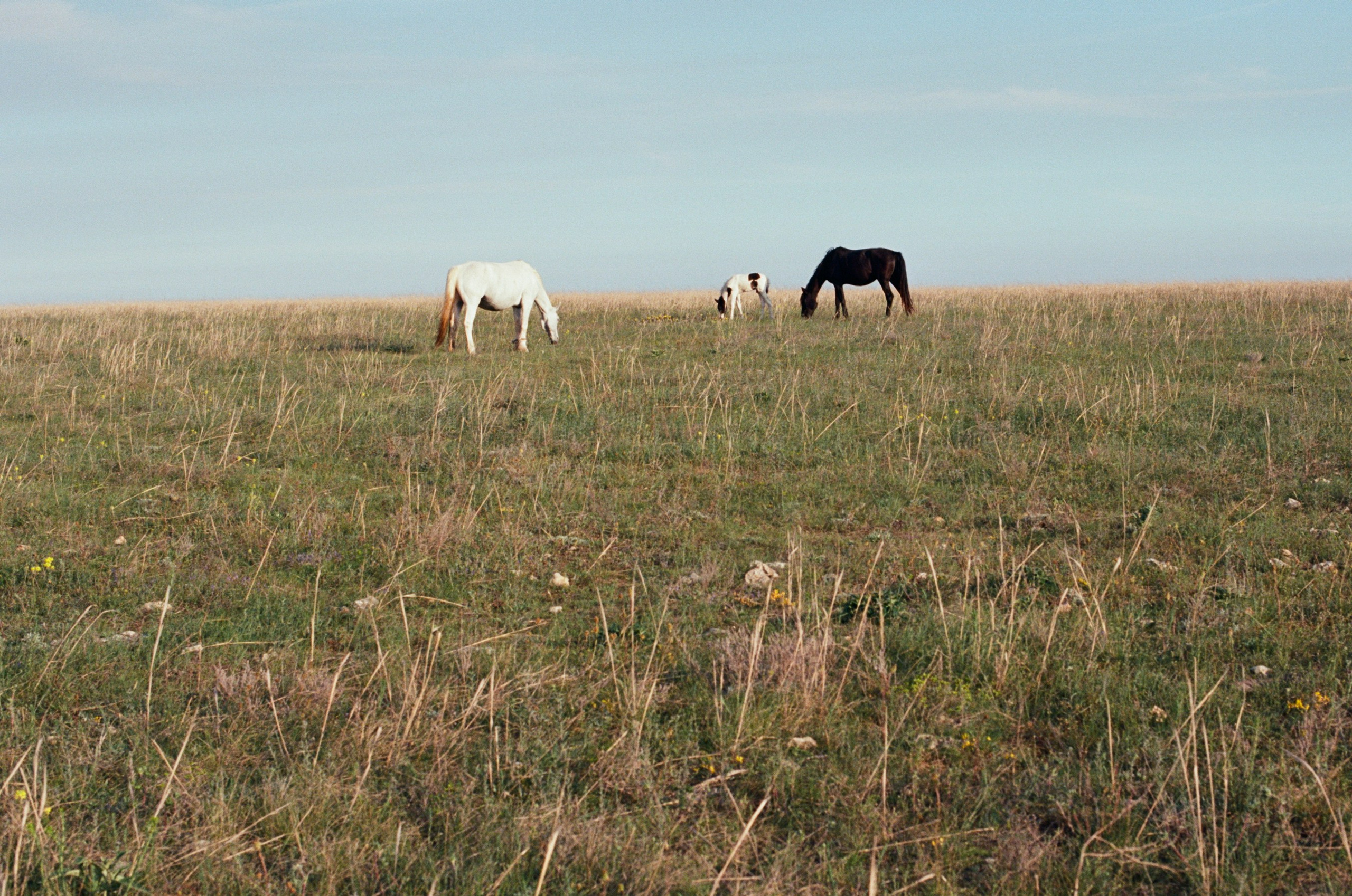 The drugs don't work // ukraine, crimea II. EVER EXPOSED