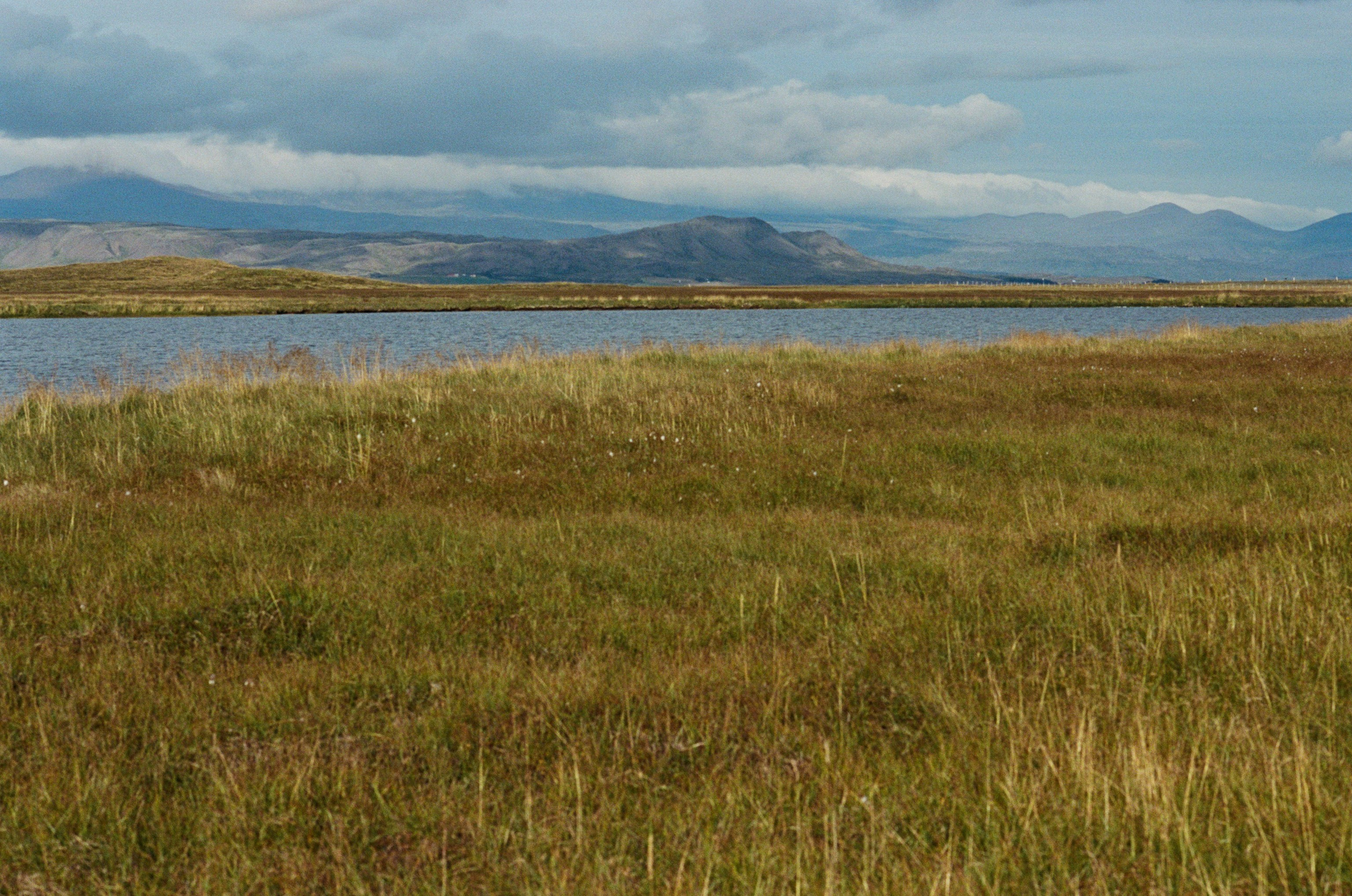 Vor i vaglaskogi // iceland, 574 utnesvegur. EVER EXPOSED