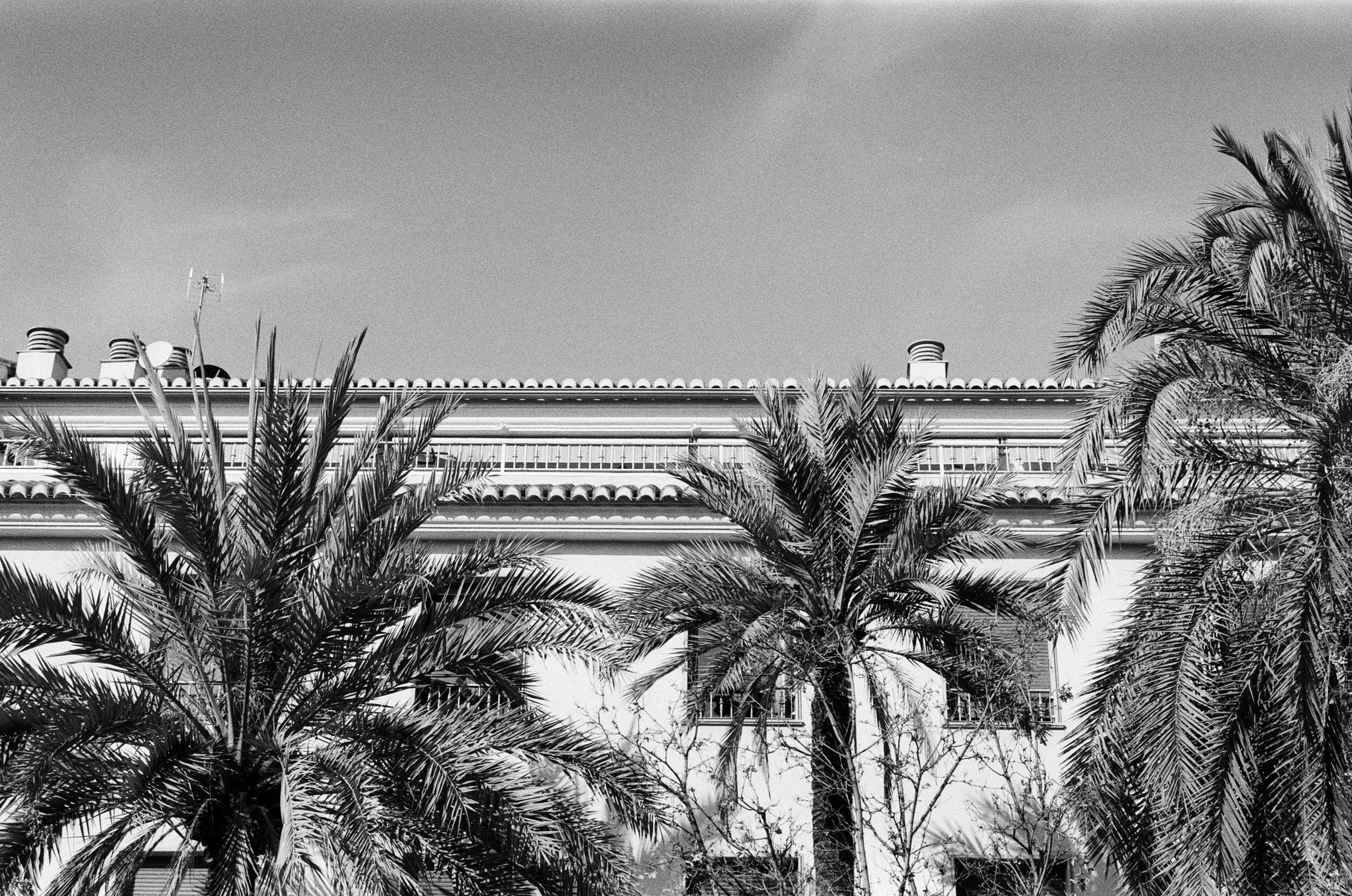 Spanish sahara // spain, granada II. EVER EXPOSED